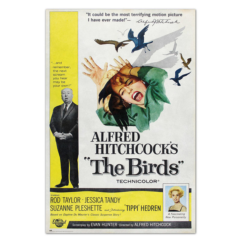 POSTER 61 91,5 THE BIRDS no167