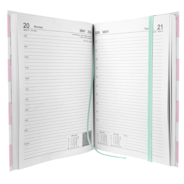 DIARY 2024 PUSHEEN PURRFECT WEEKEND 3