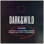 CD BTS DARK & WILD 2