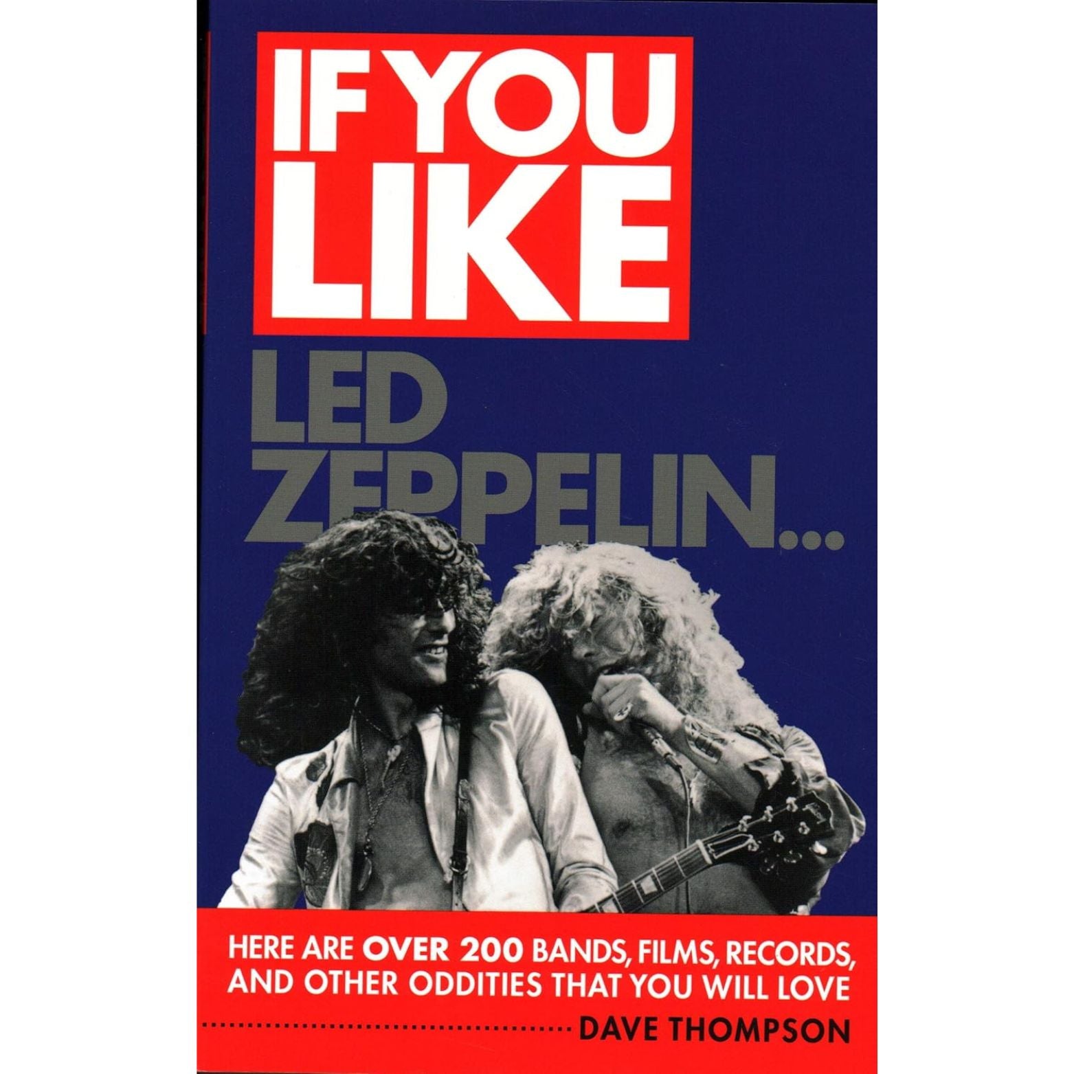 BOK IF YOU LIKE THE LED ZEPPELIN... (DAVE THOMPSON)