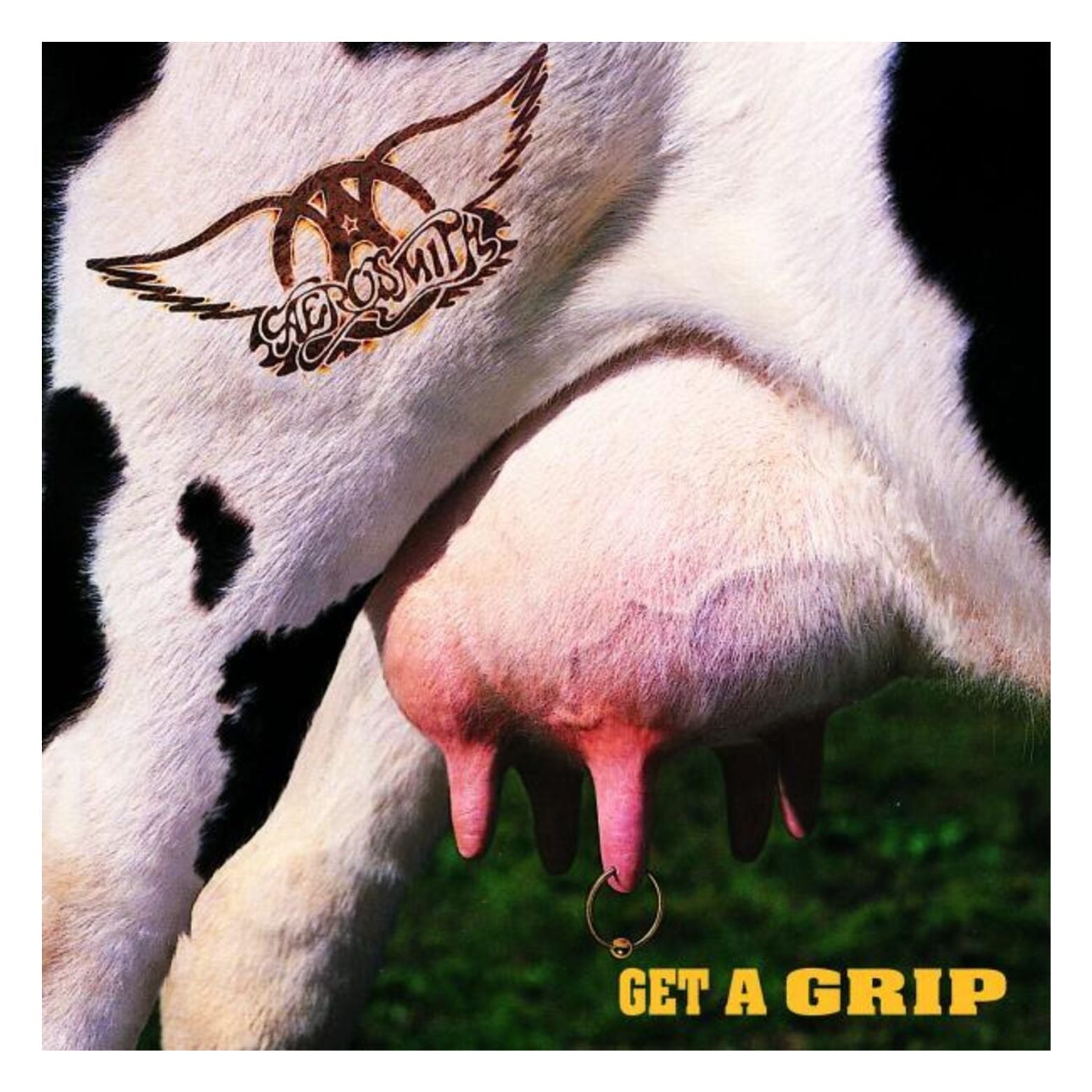 CD AEROSMITH GET A GRIP