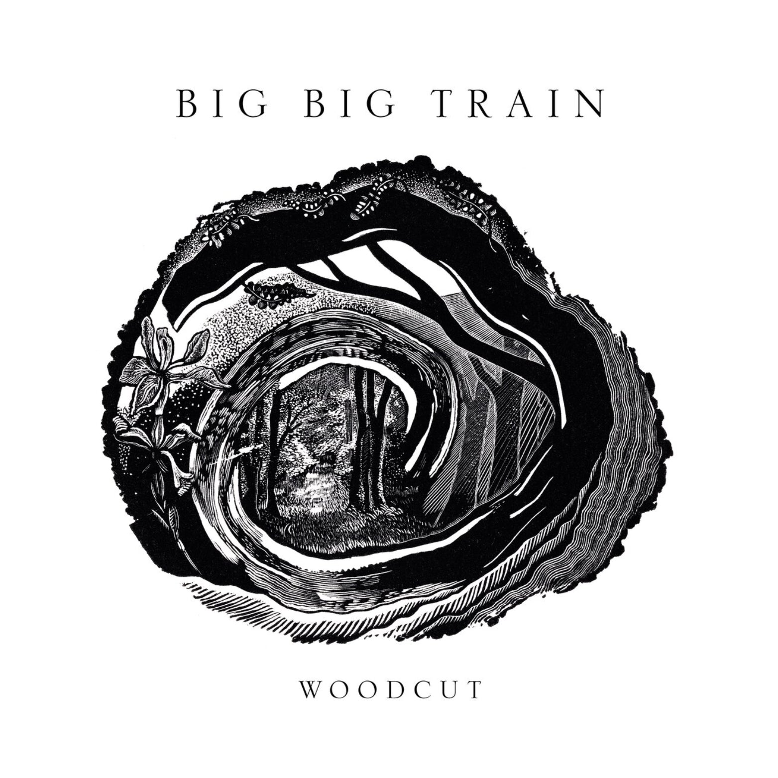 CD BIG BIG TRAIN WOODCUT