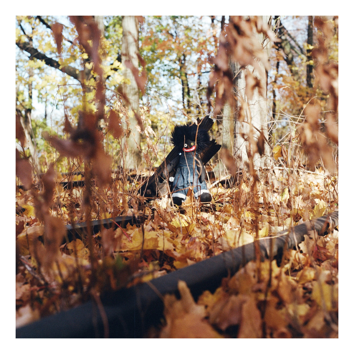 CD BILLY WOODS GOLLIWOG