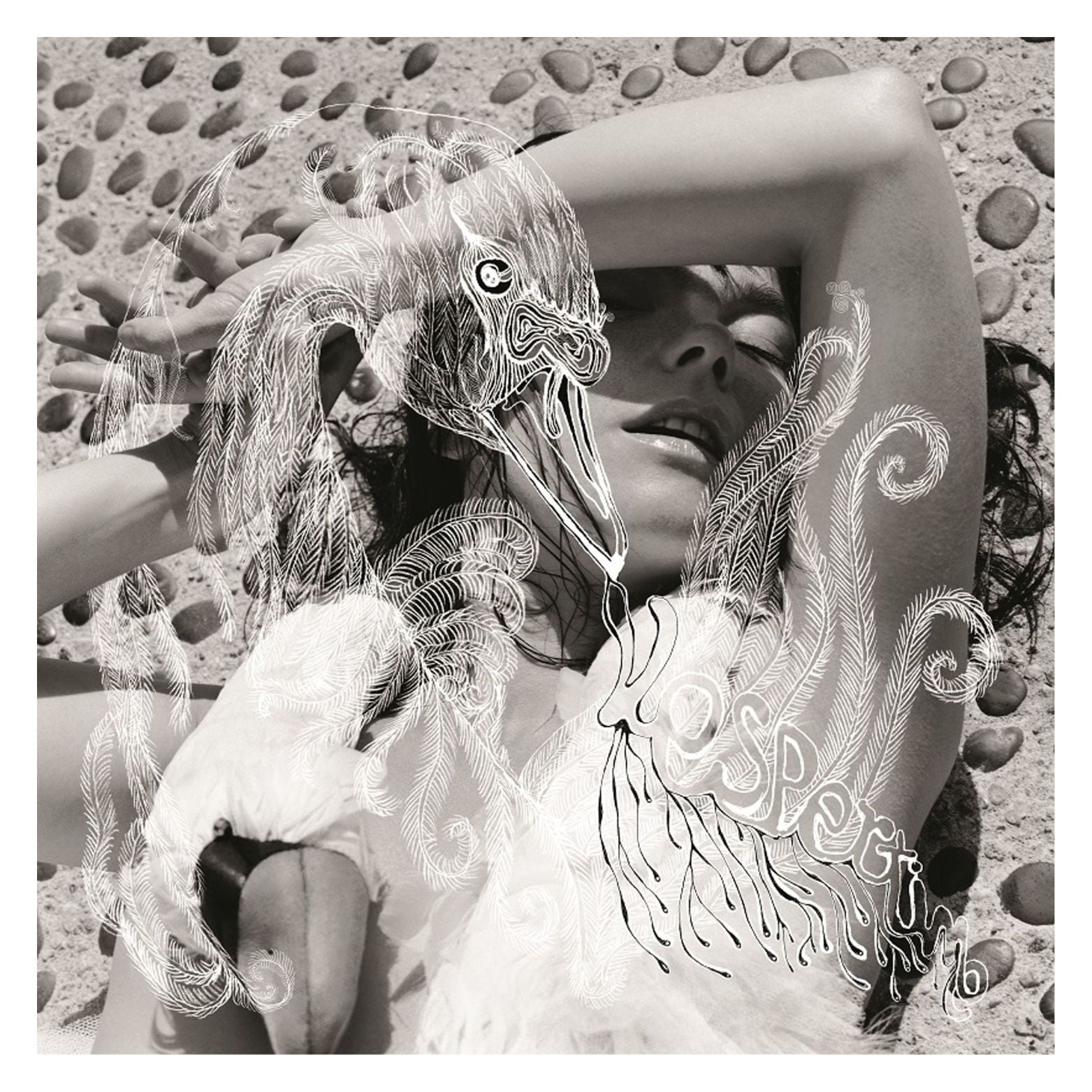 CD BJORK VESPERTINE