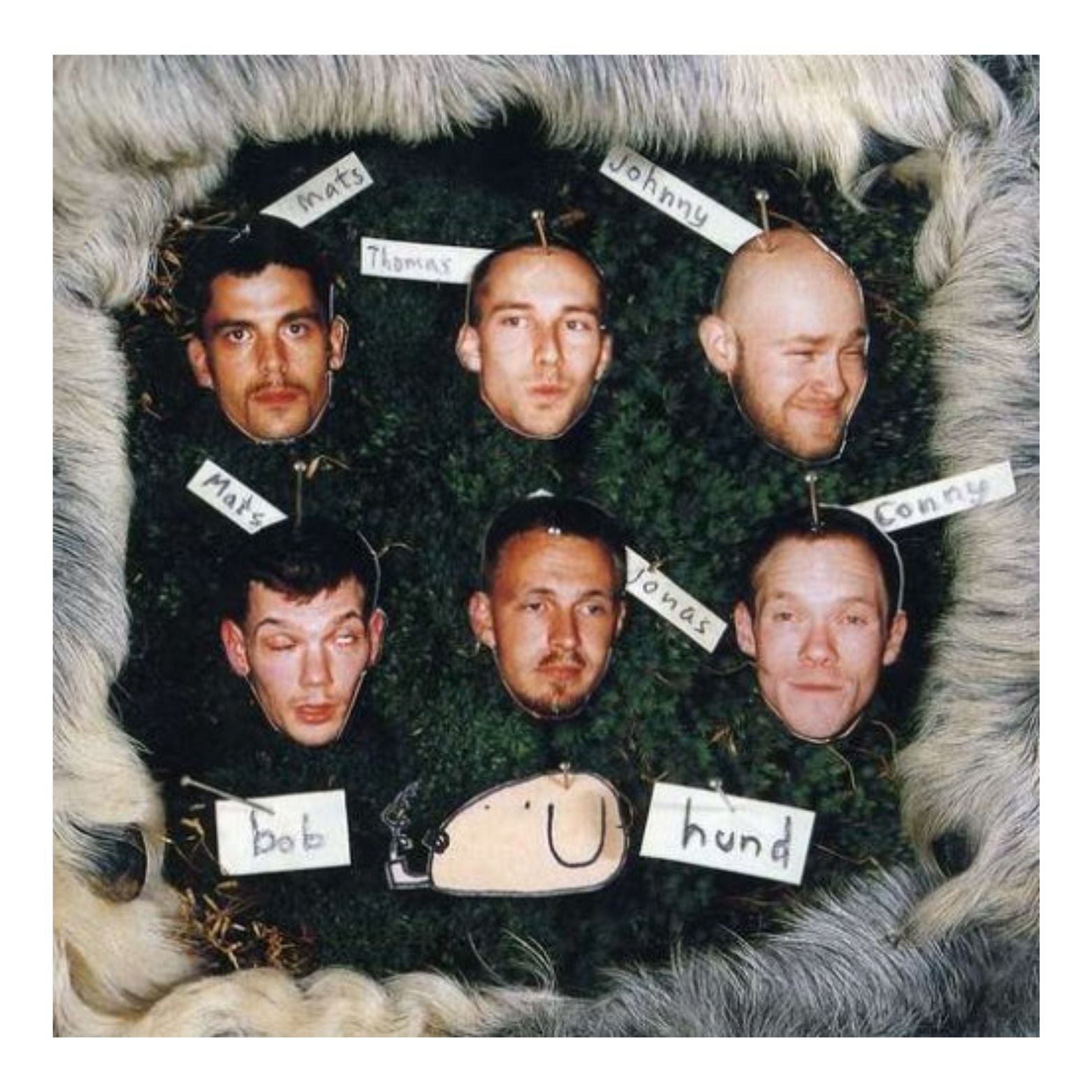 CD BOB HUND I