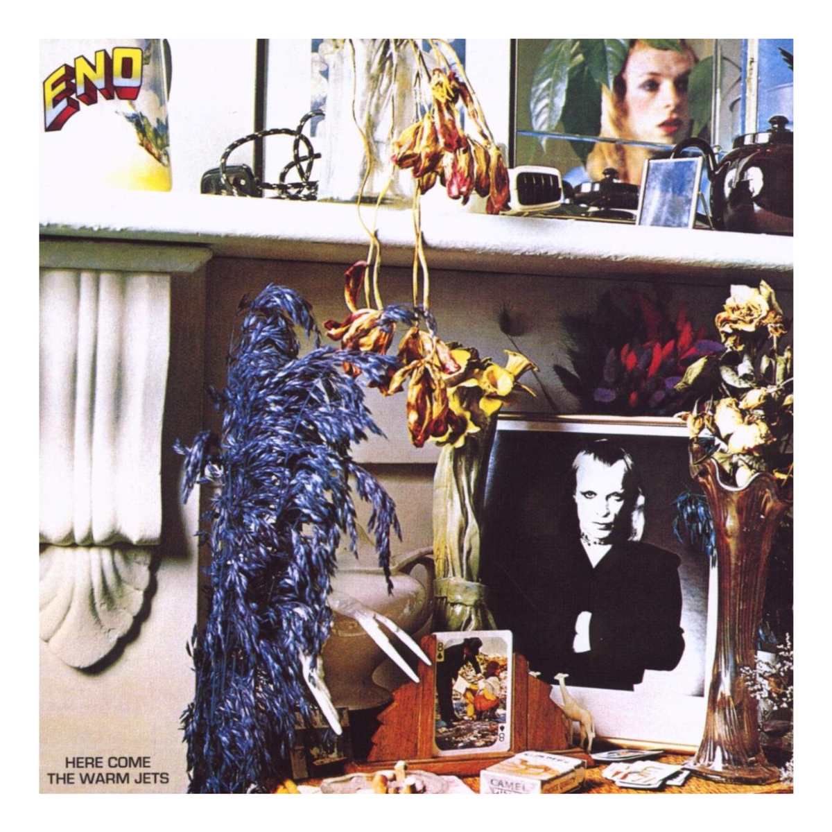 CD BRIAN ENO HERE COME THE WARM JETS