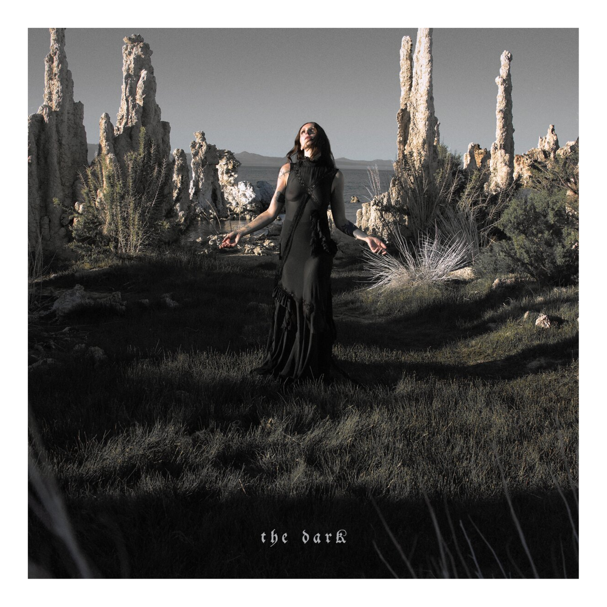 CD CHELSEA WOLFE DARK
