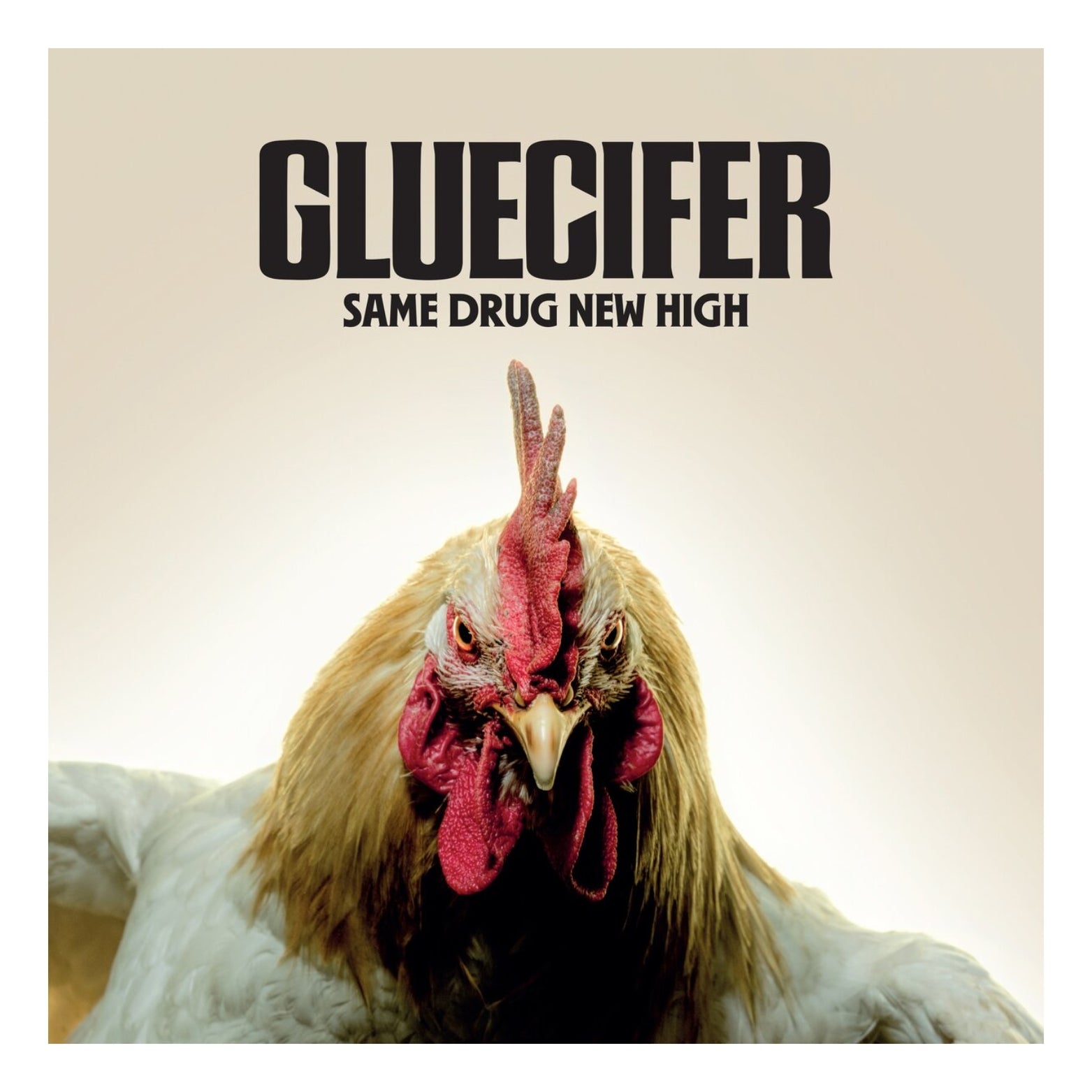 CD GLUECIFER SAME DRUG NEW HIGH