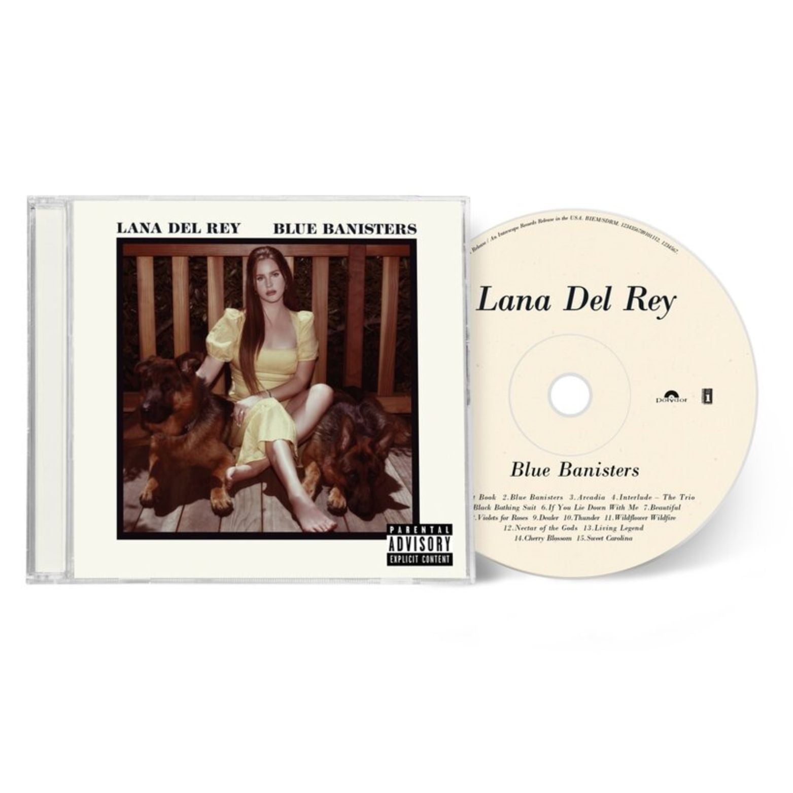 CD LANA DEL REY BLUE BANISTERS