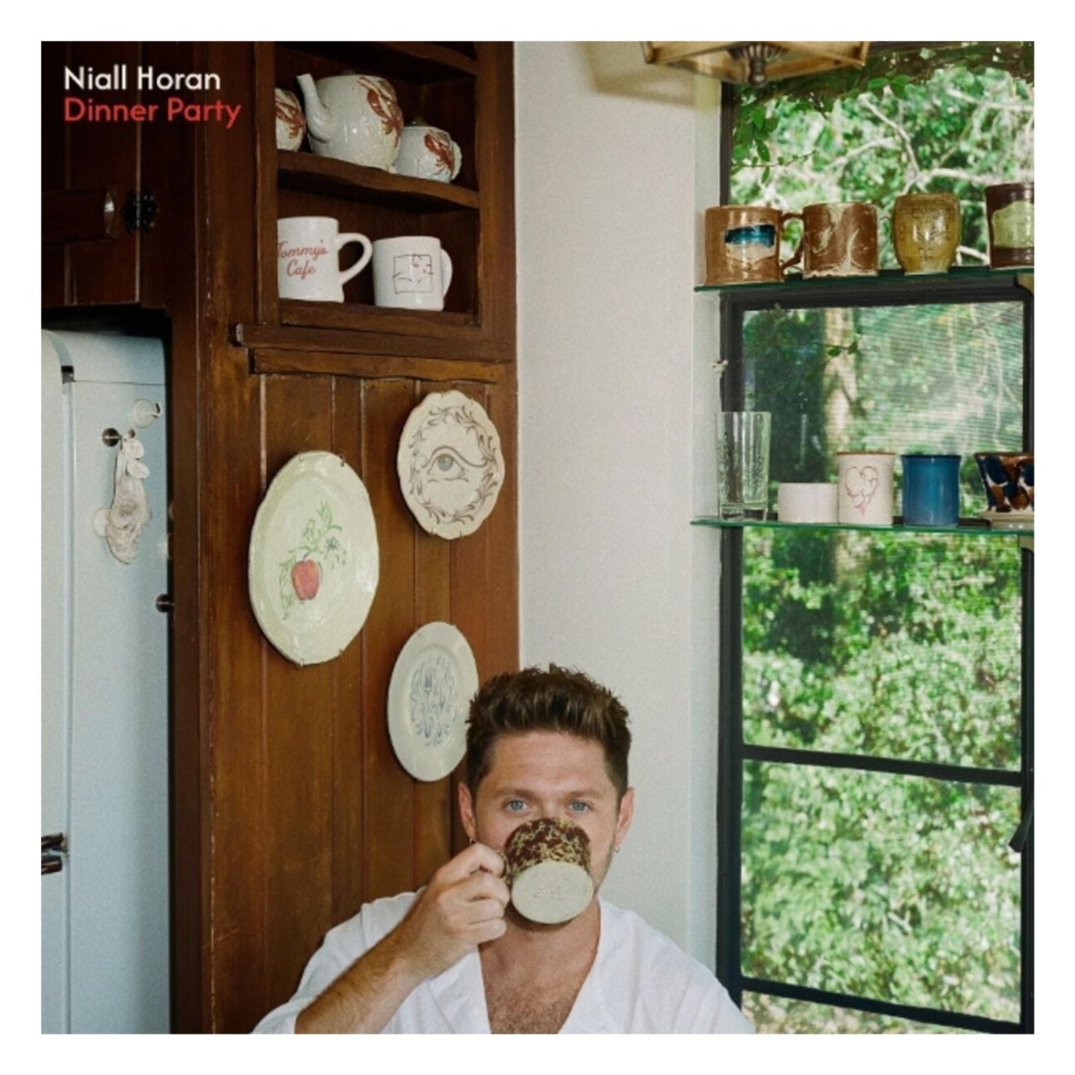 CD NIALL HORAN DINNER PARTY