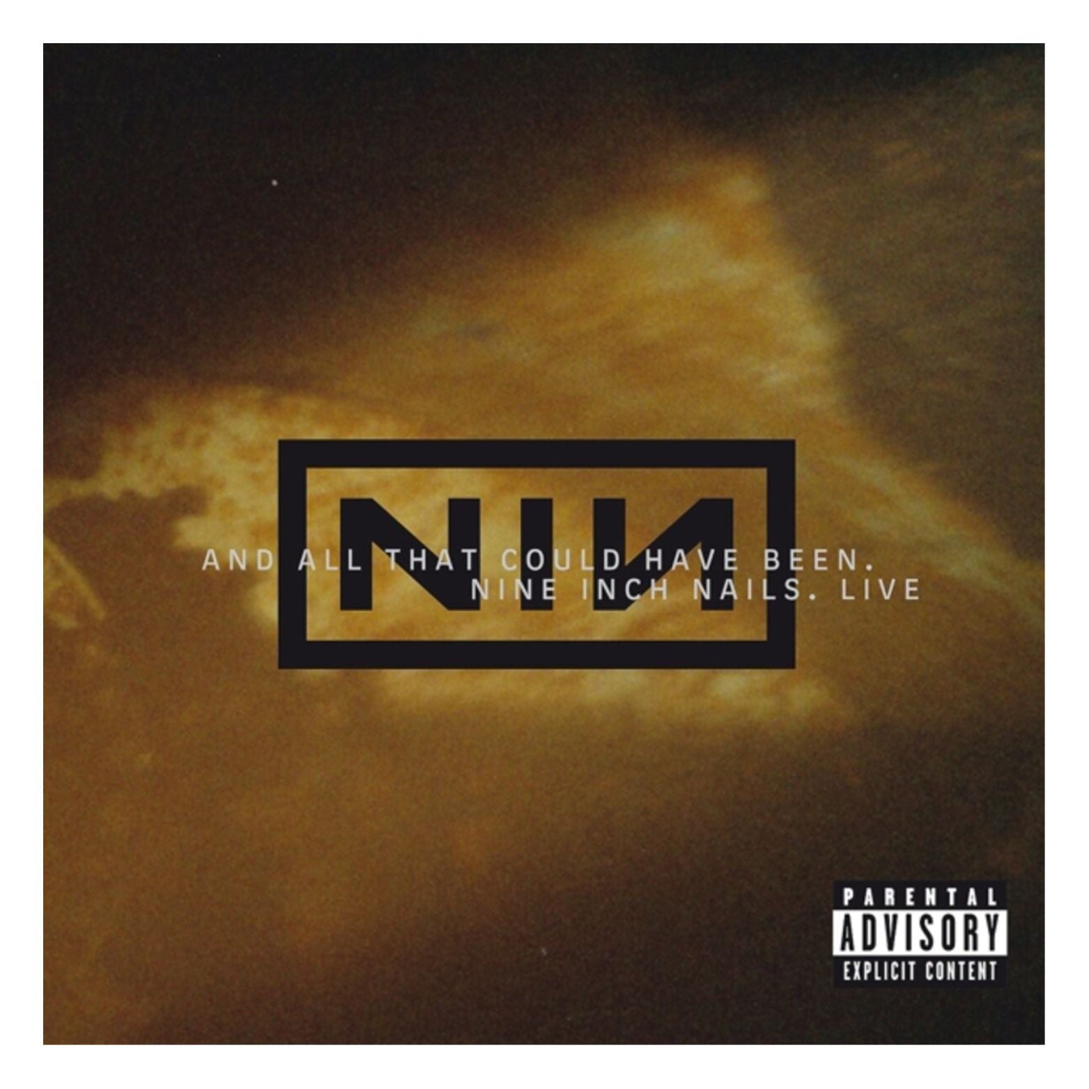 CD NINE INCH NAILS AND ALL THAT COULD HAVE BEEN