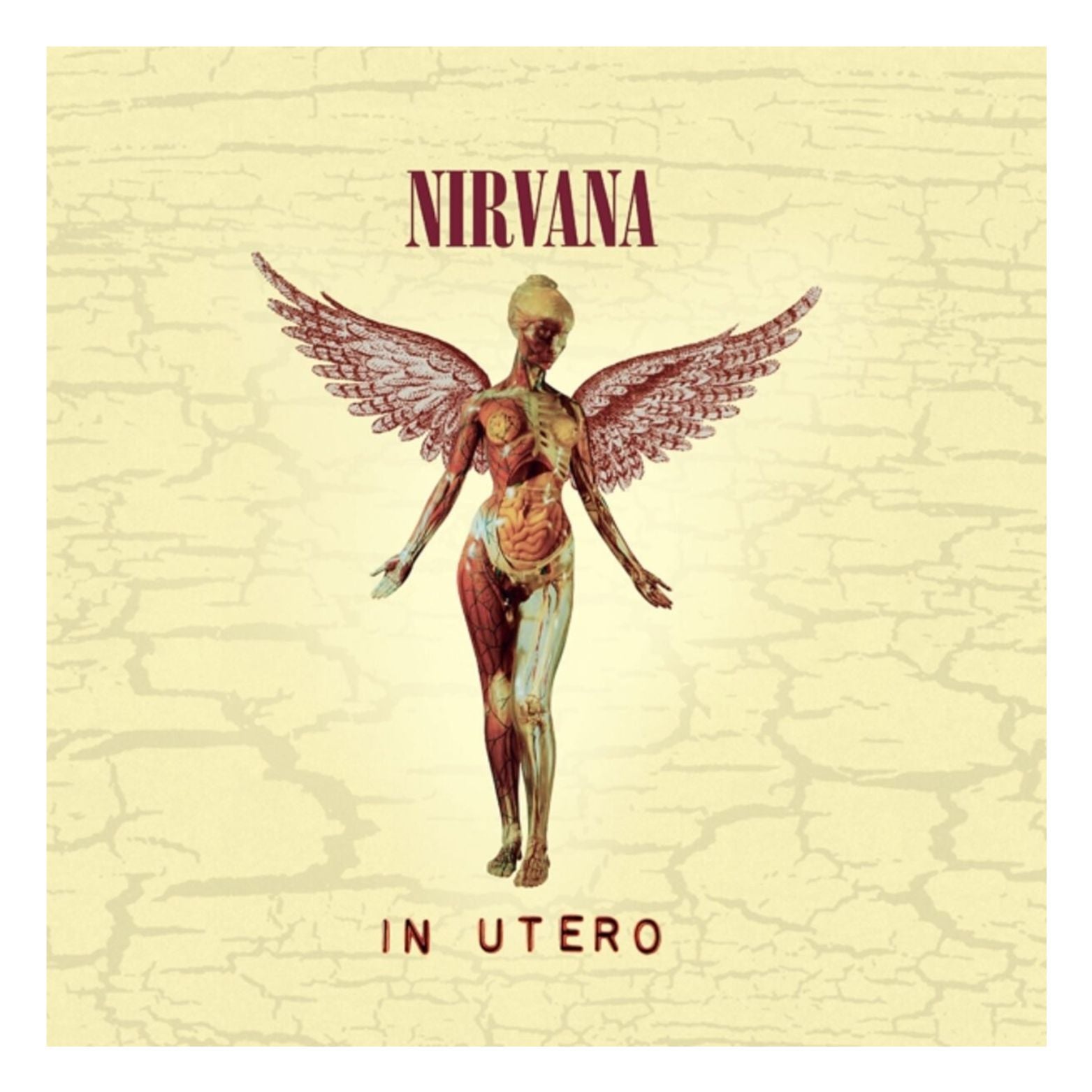 CD NIRVANA IN UTERO
