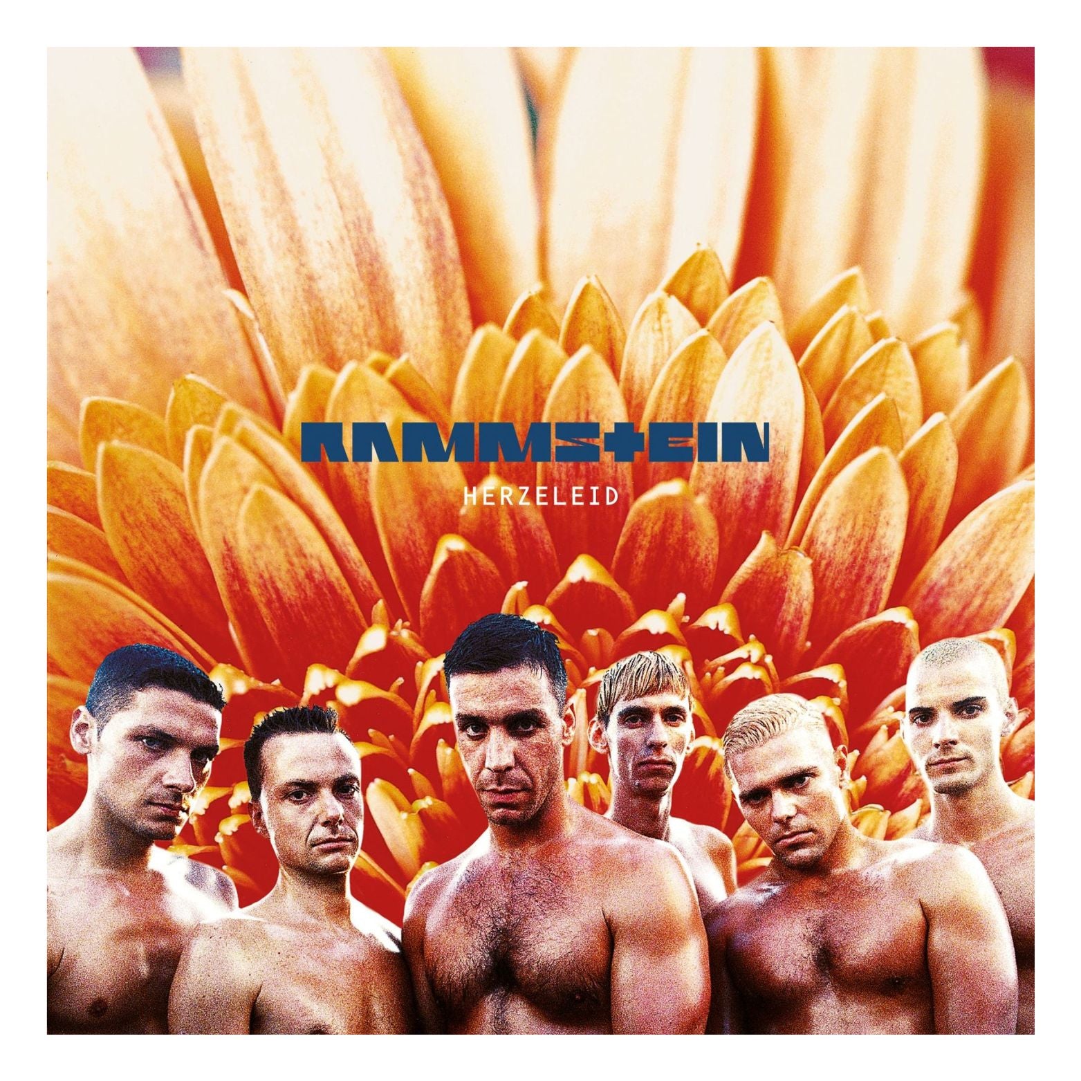 CD RAMMSTEIN HERZELEID