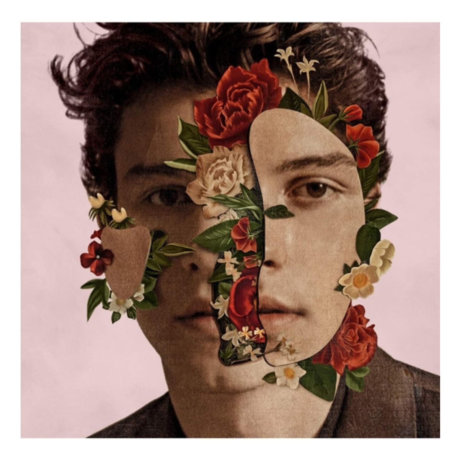 CD SHAWN MENDEZ DELUXE EDITION