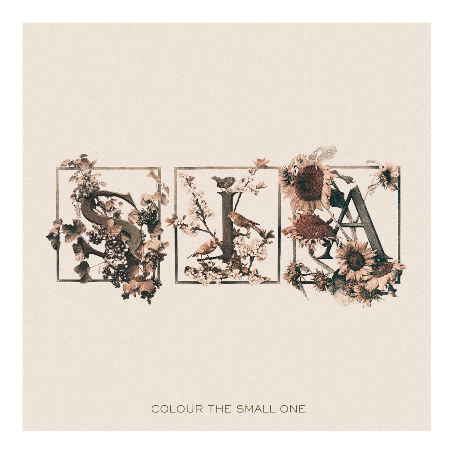 CD SIA COLOUR THE SMALL ONE