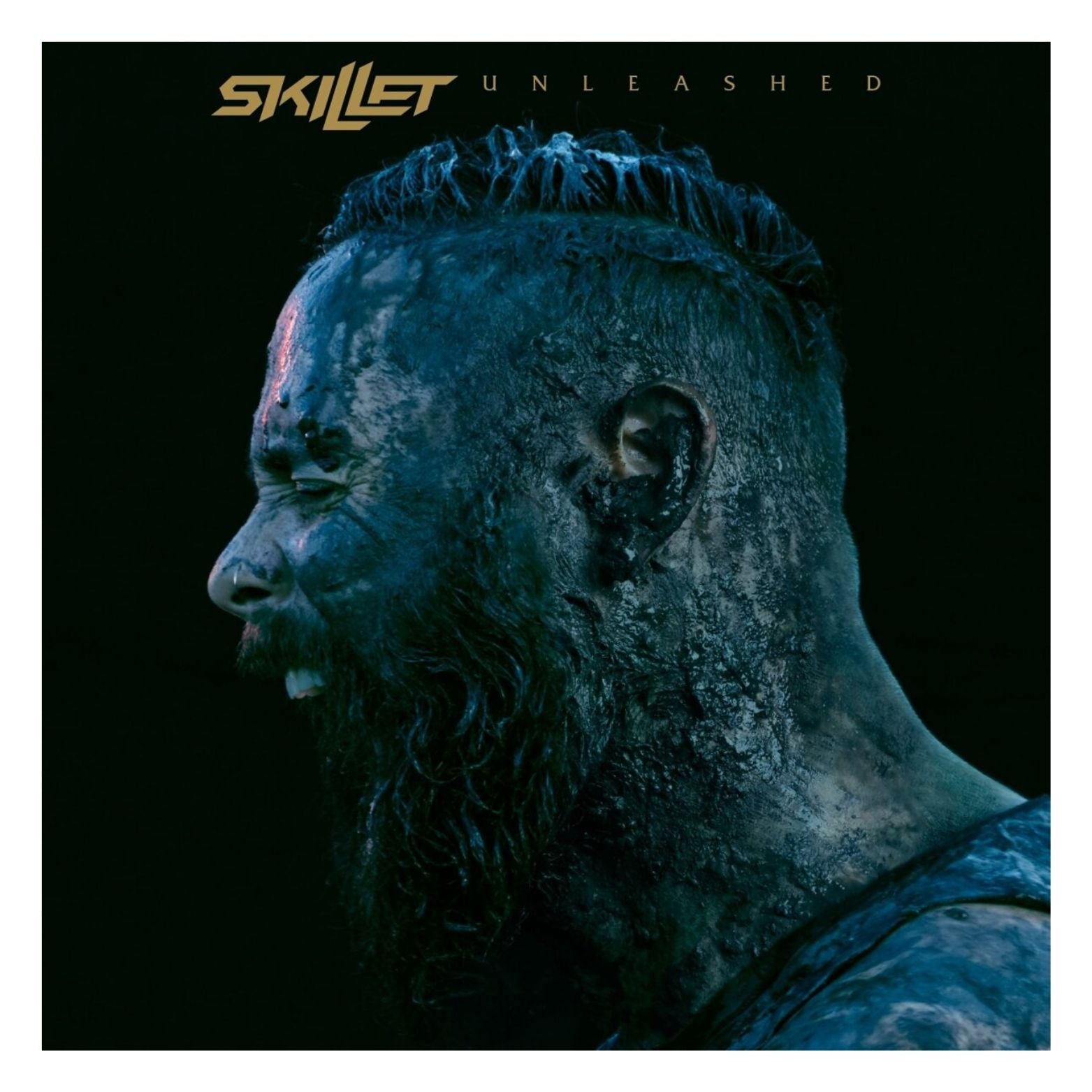 CD SKILLET UNLEASHED