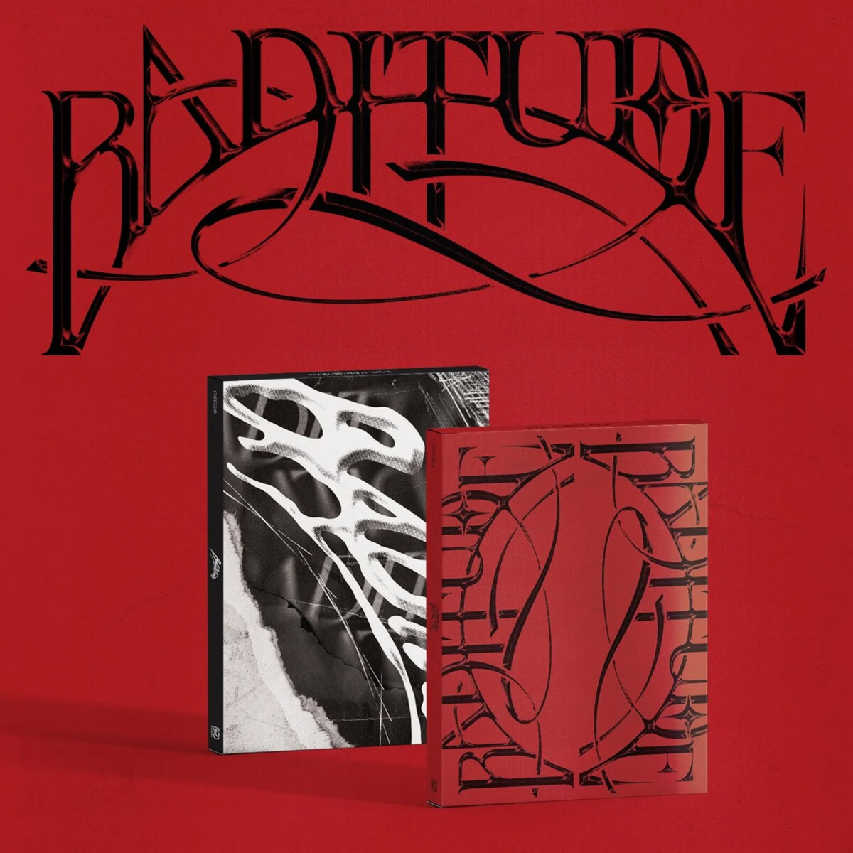 CD SOOJIN BADITUDE RANDOM PHOTOBOOK EDITION