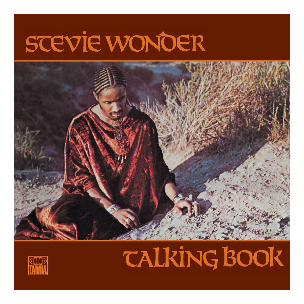 CD STEVIE WONDER TALKING BOOK