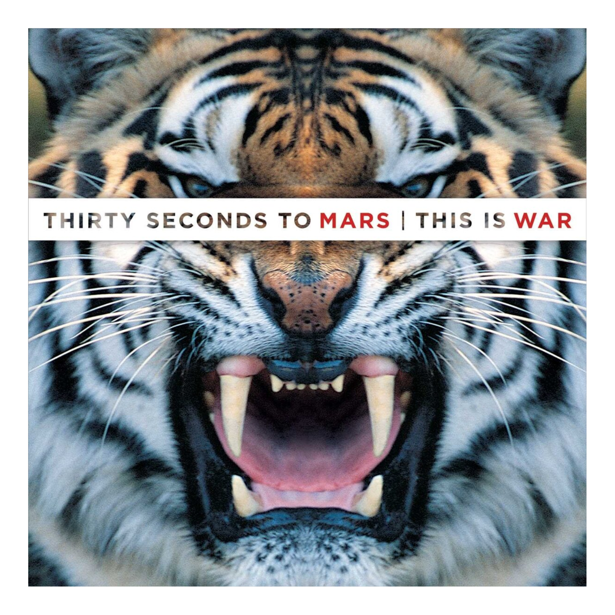 CD THIRTY SECONDS TO MARS THIS IS WAR