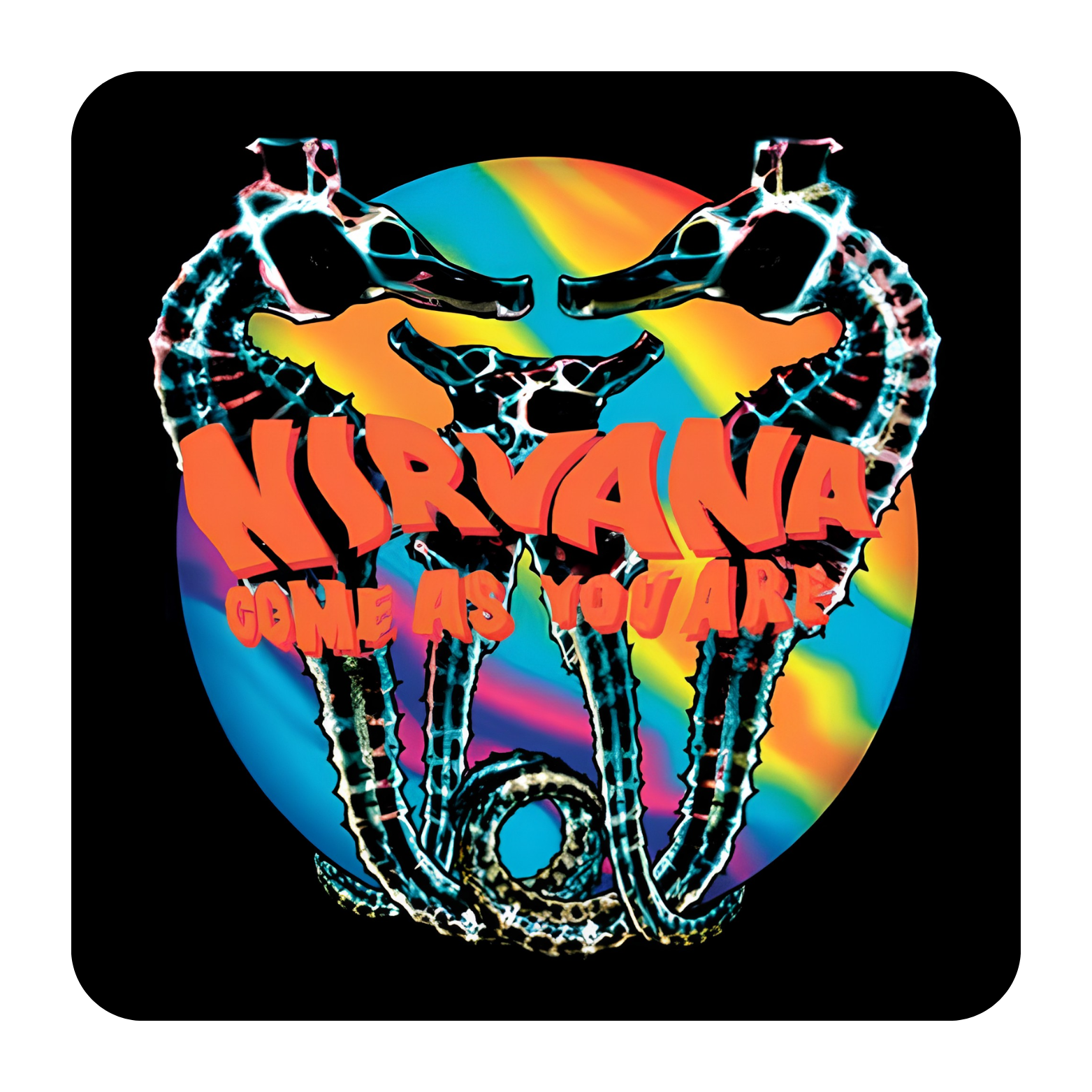 COASTER NIRVANA COME AS YOU ARE