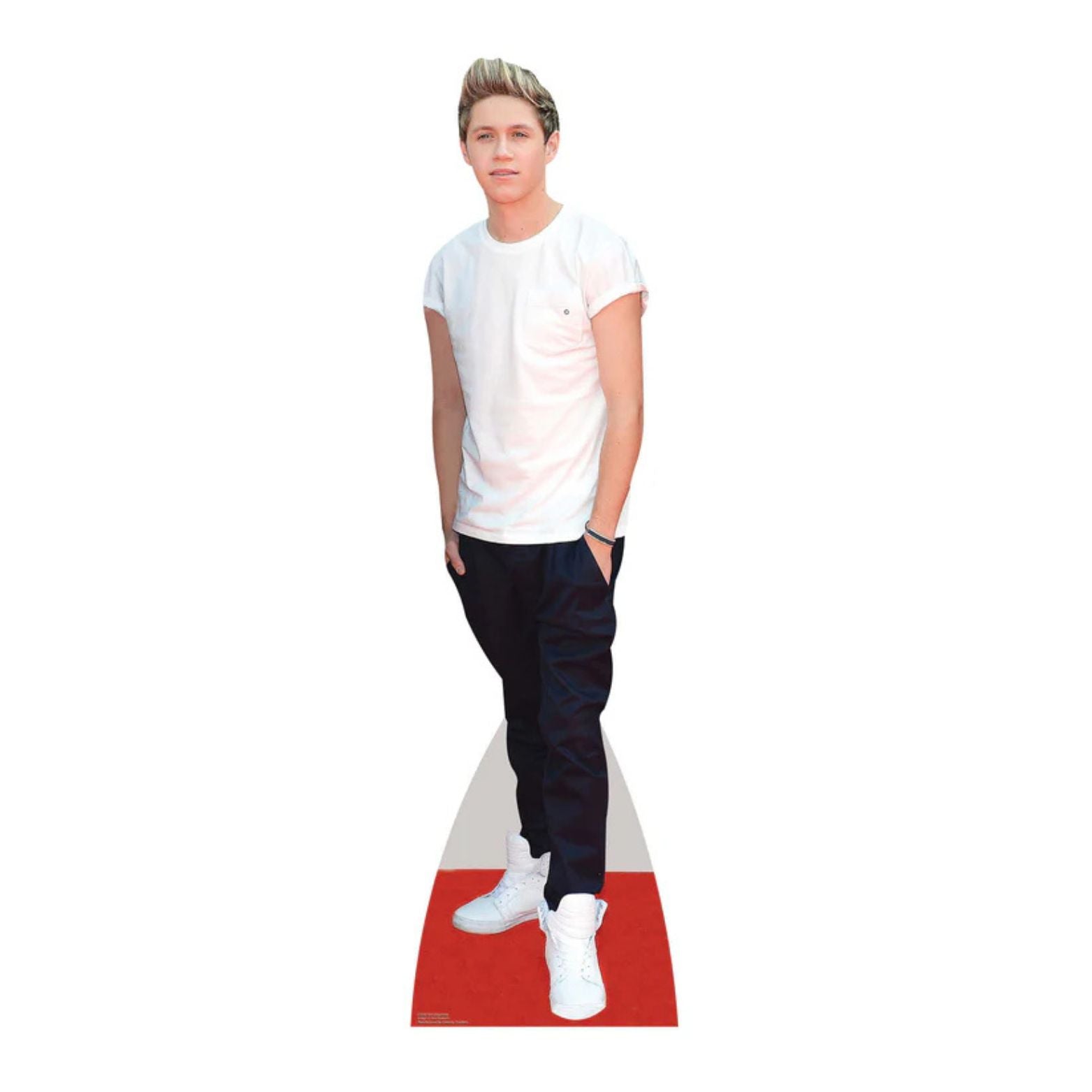 CUTOUTS NIALL BOYBAND (CS581)