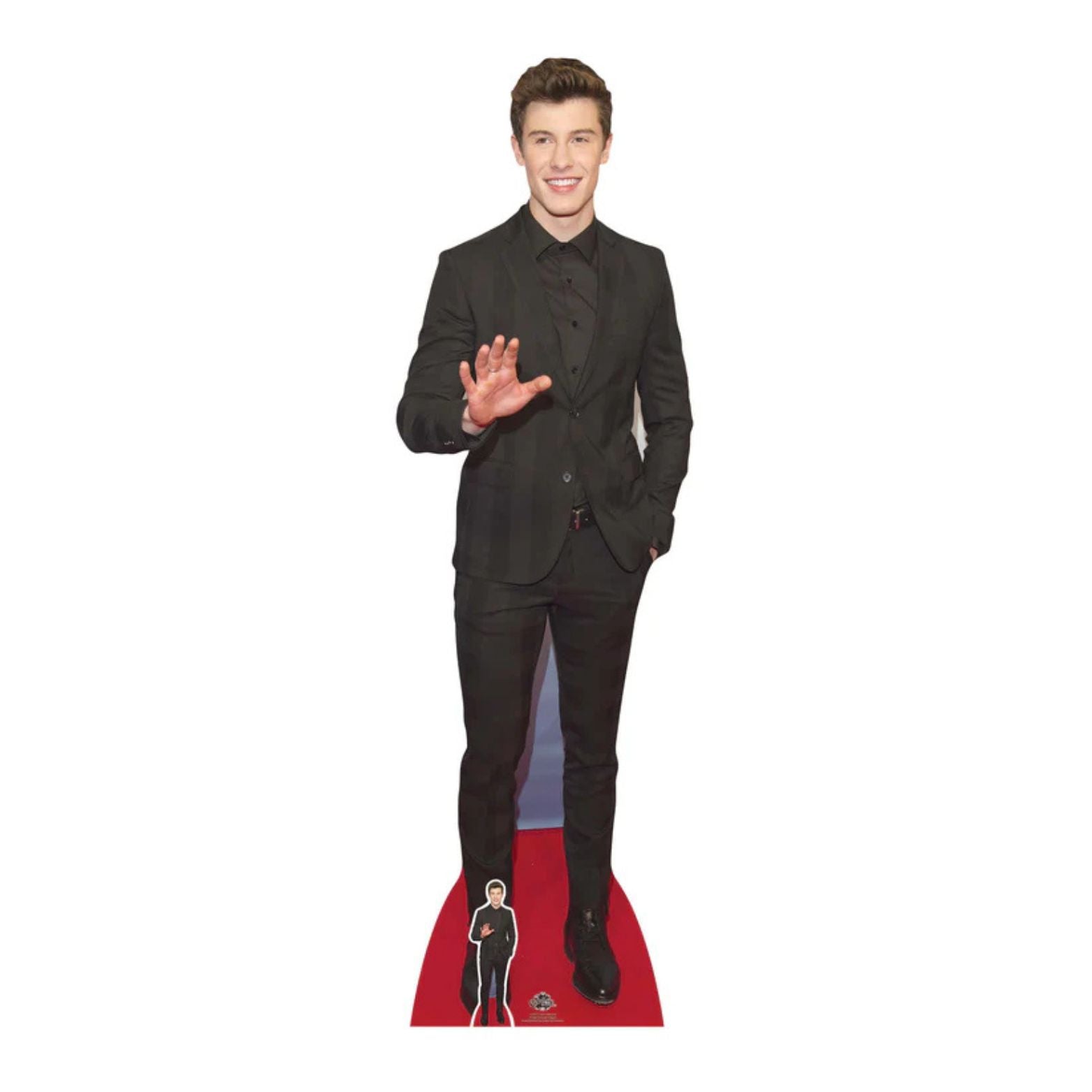 CUTOUTS SHAWN MENDEZ (CS657)