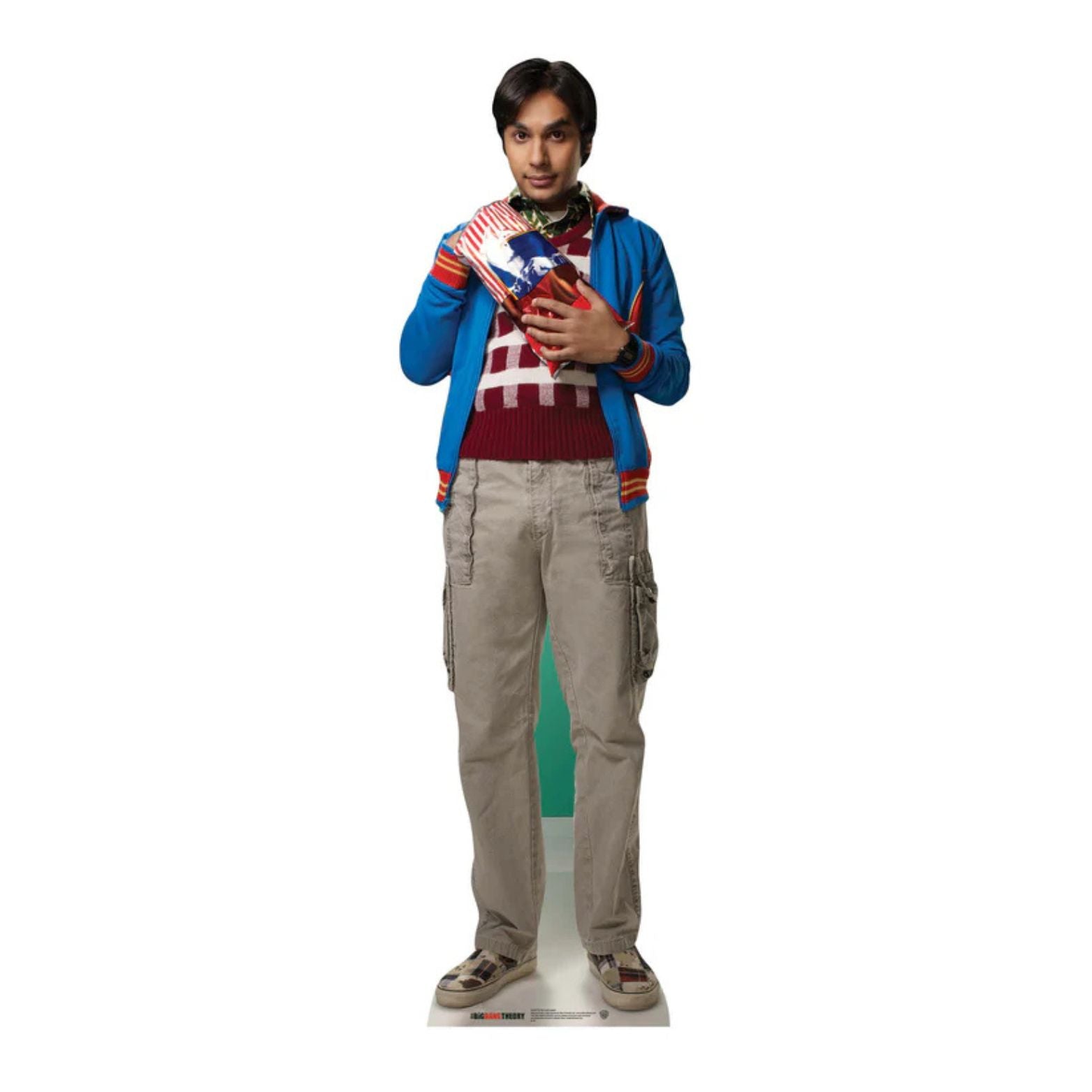 CUTOUTS THE BIG BANG THEORY RAJ KOOTHRAPPALI (SC622)