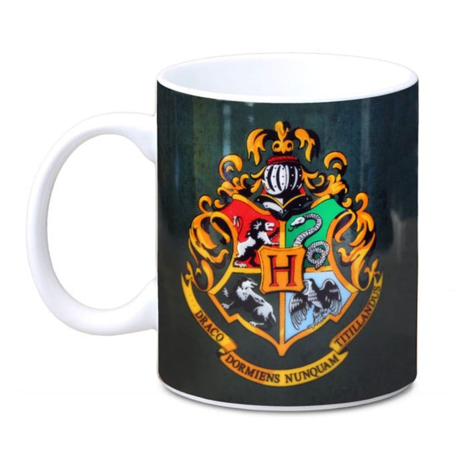 MUG HARRY POTTER HOGWARTS GREEN