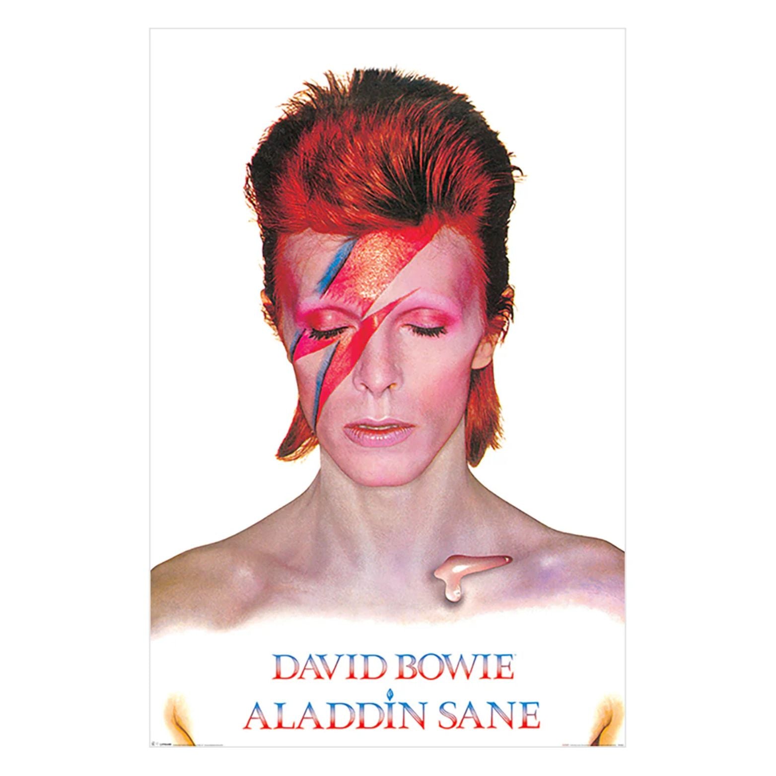POSTER 61*91,5 DAVID BOWIE ALADDIN SANE no54