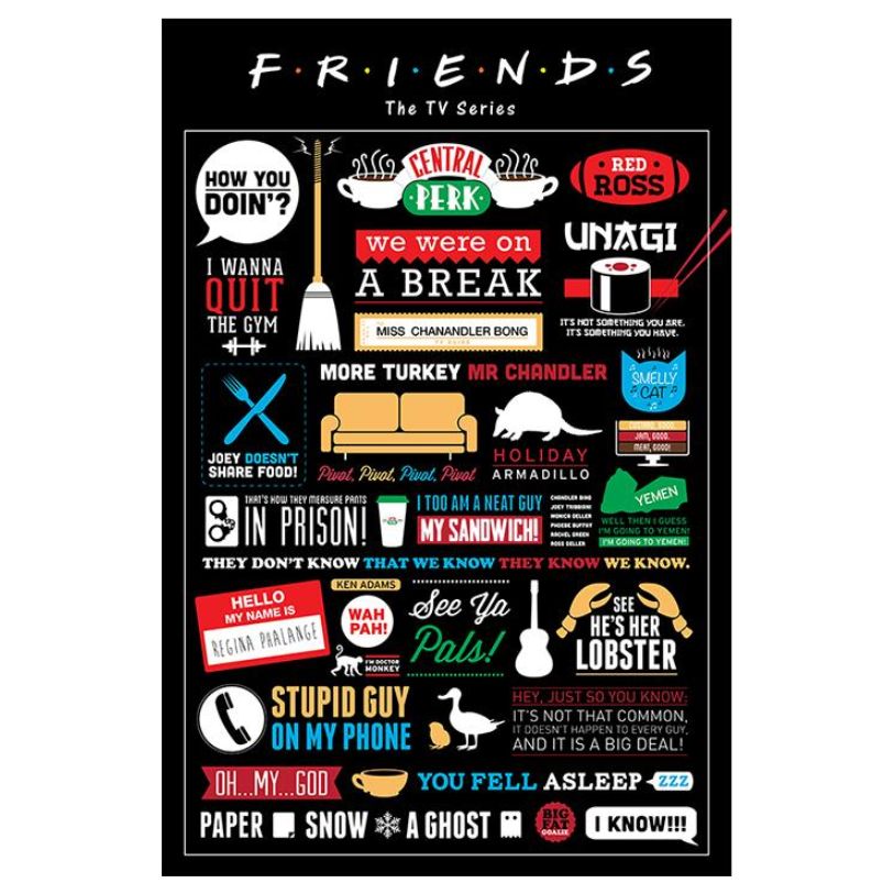 POSTER 61*91,5 FRIENDS INFOGRAPHIC no70