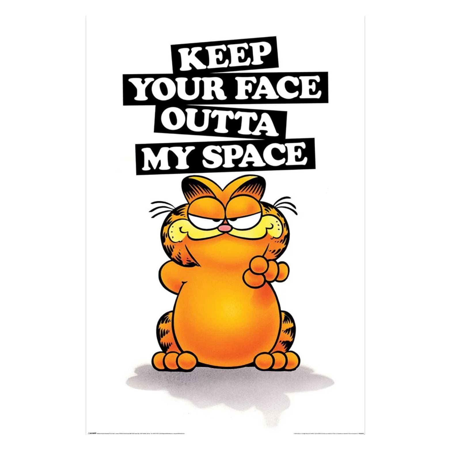 POSTER 61*91,5 GARFIELD KEEP YOUR FACE no131