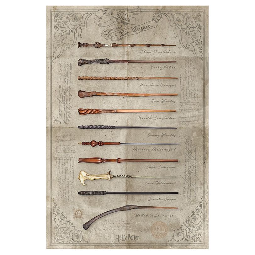 POSTER 61*91,5 HARRY POTTER THE WAND CHOOSES THE WIZARD no99