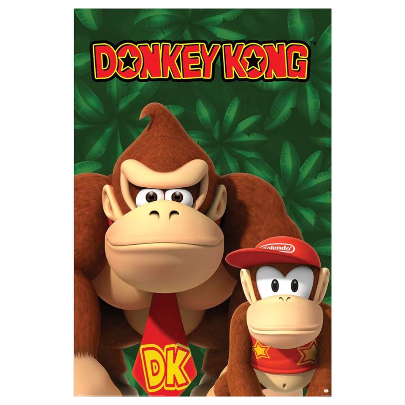 POSTER 61*91,5 NINTENDO DONKEY KONG AND DIDDY KONG no27