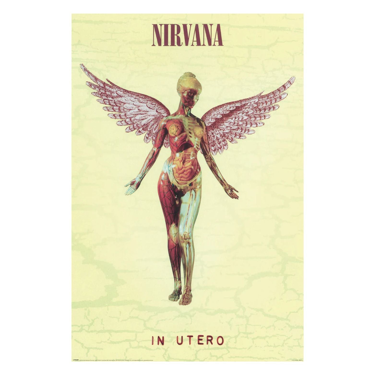 POSTER 61*91,5 NIRVANA IN UTERO no161