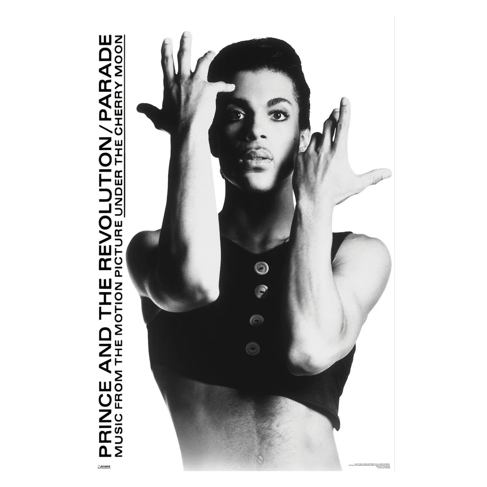 POSTER 61*91,5 PRINCE no164
