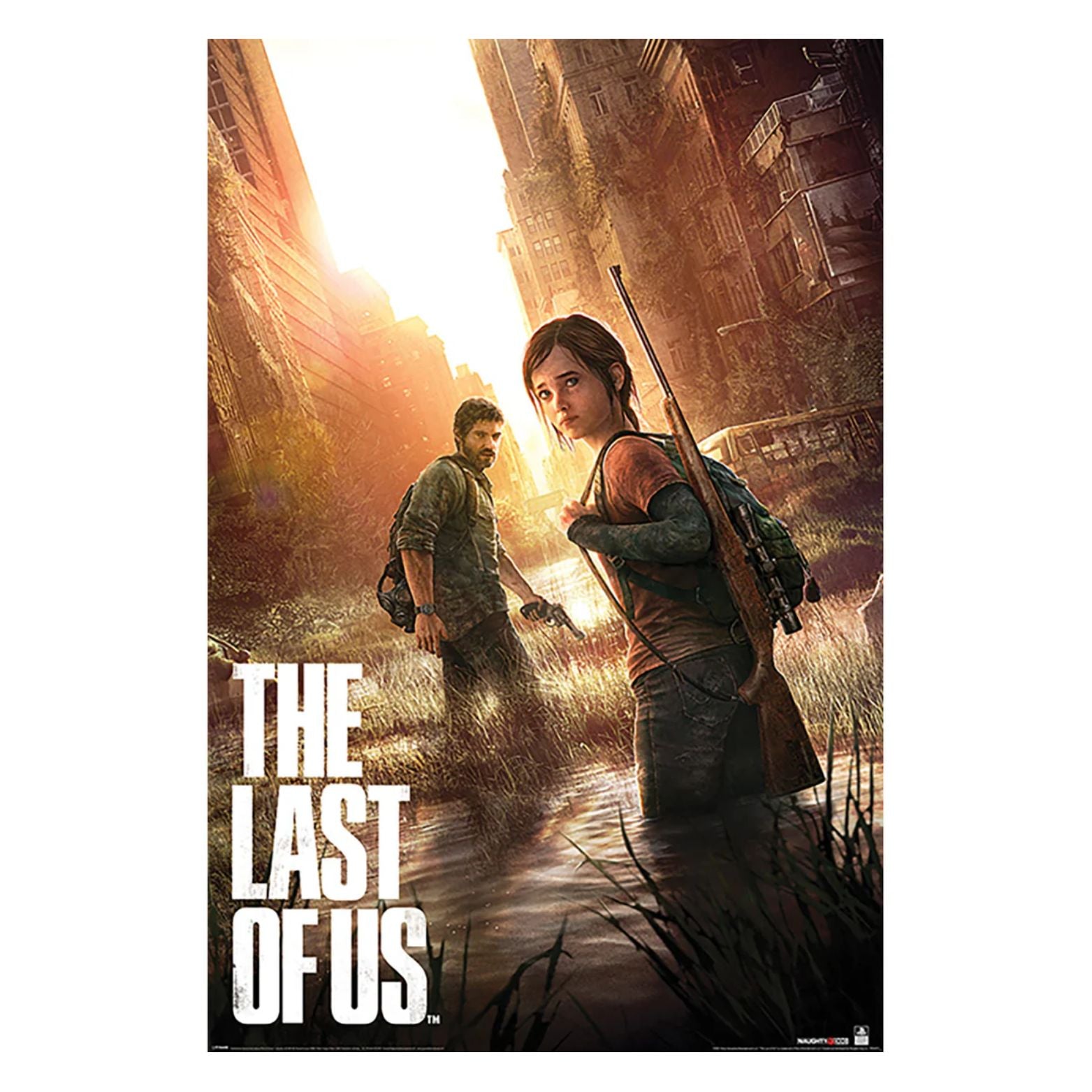 POSTER 61*91,5 THE LAST OF US no135