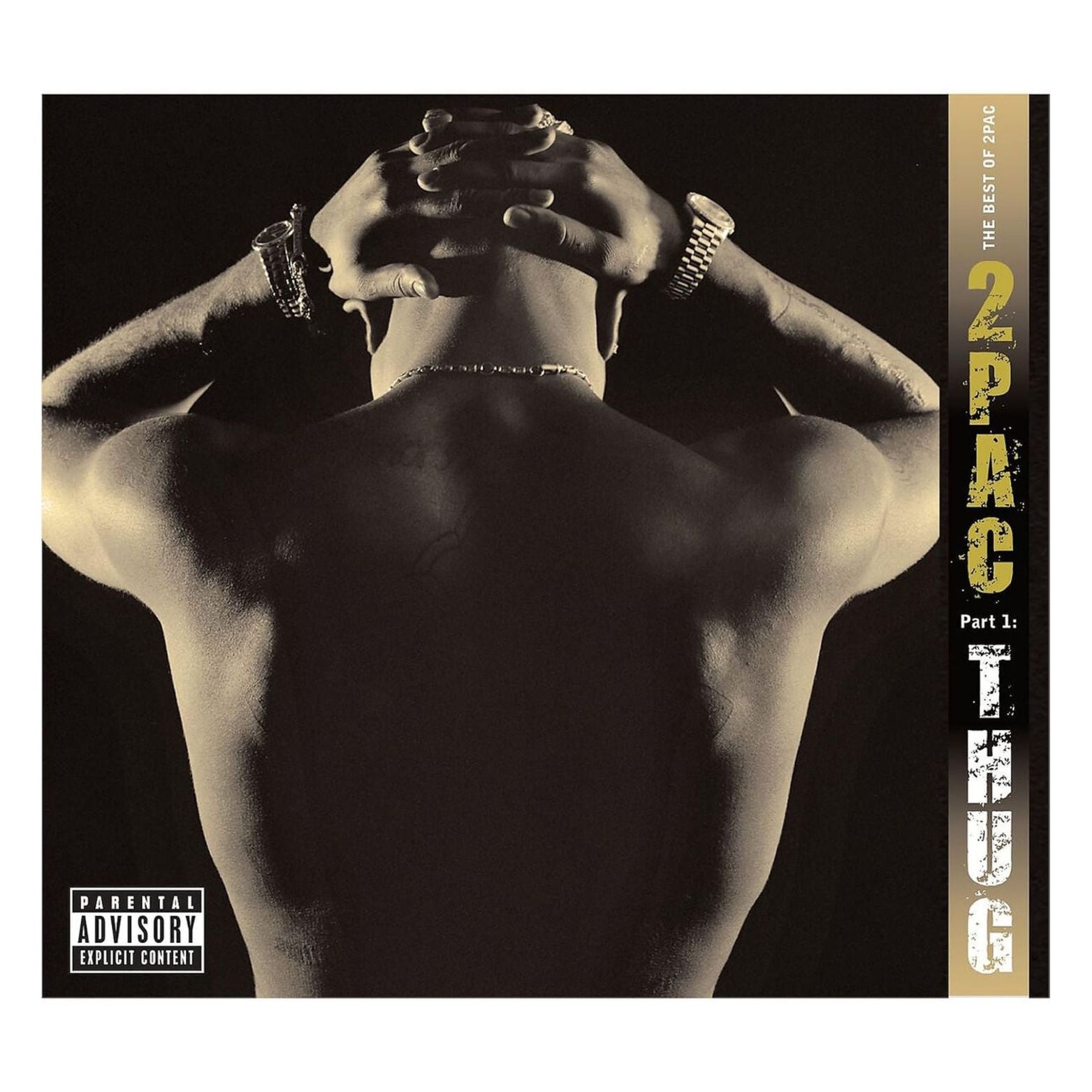 VINYL 2PAC THE BEST OF 2PAC PART1: THUG 2LP