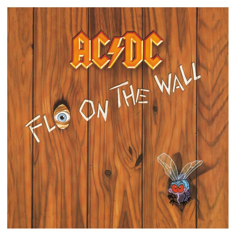 VINYL AC/DC FLY ON THE WALL