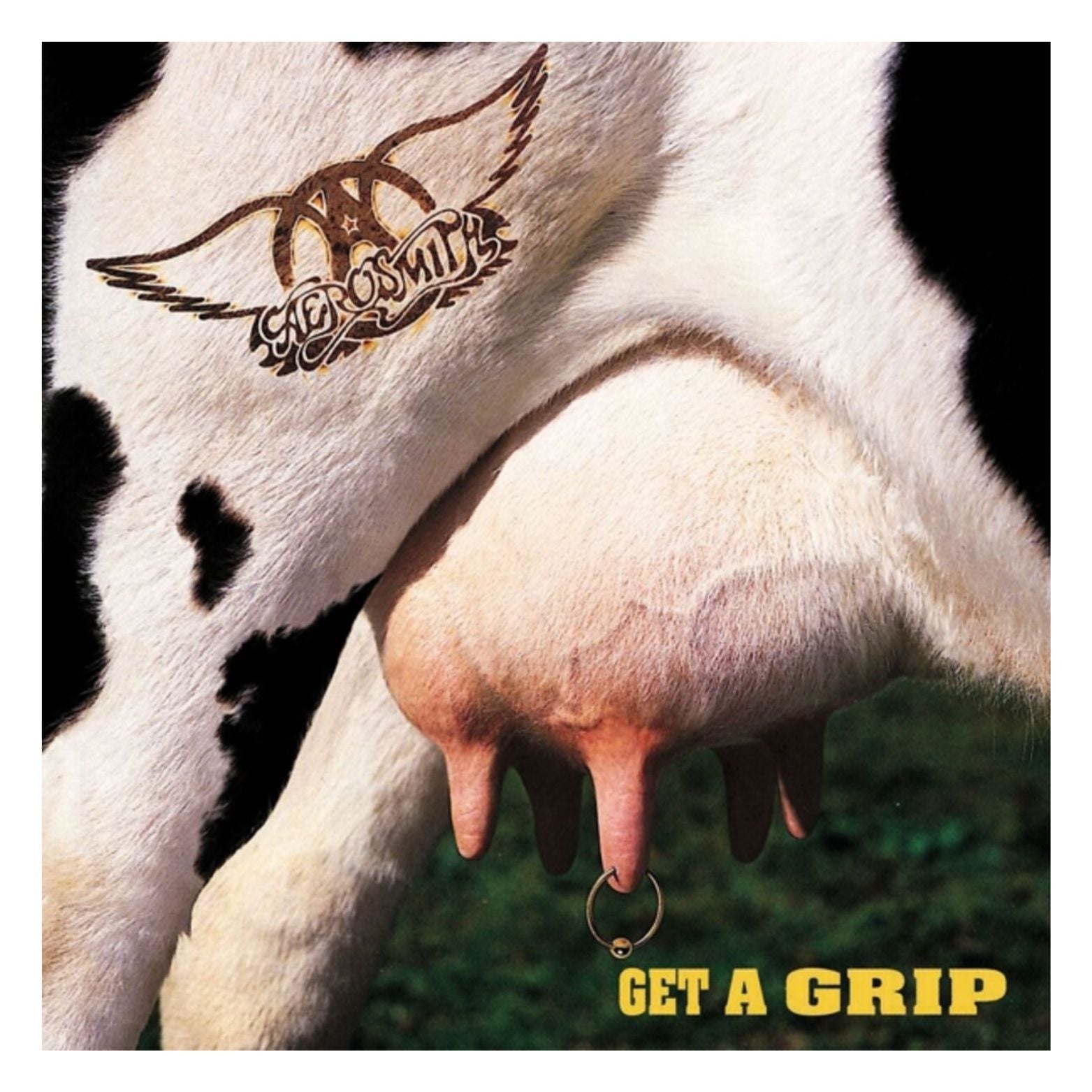 VINYL AEROSMITH GET A GRIP 2LP