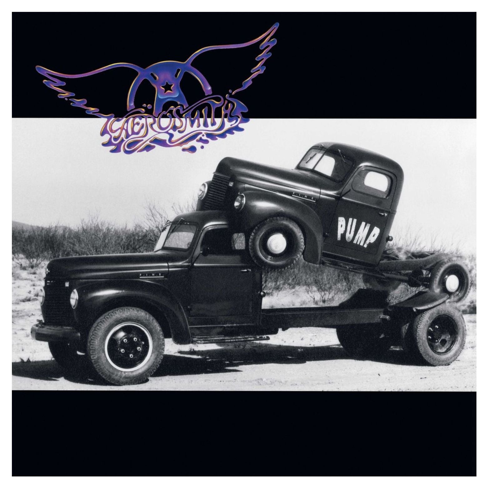 VINYL AEROSMITH PUMP