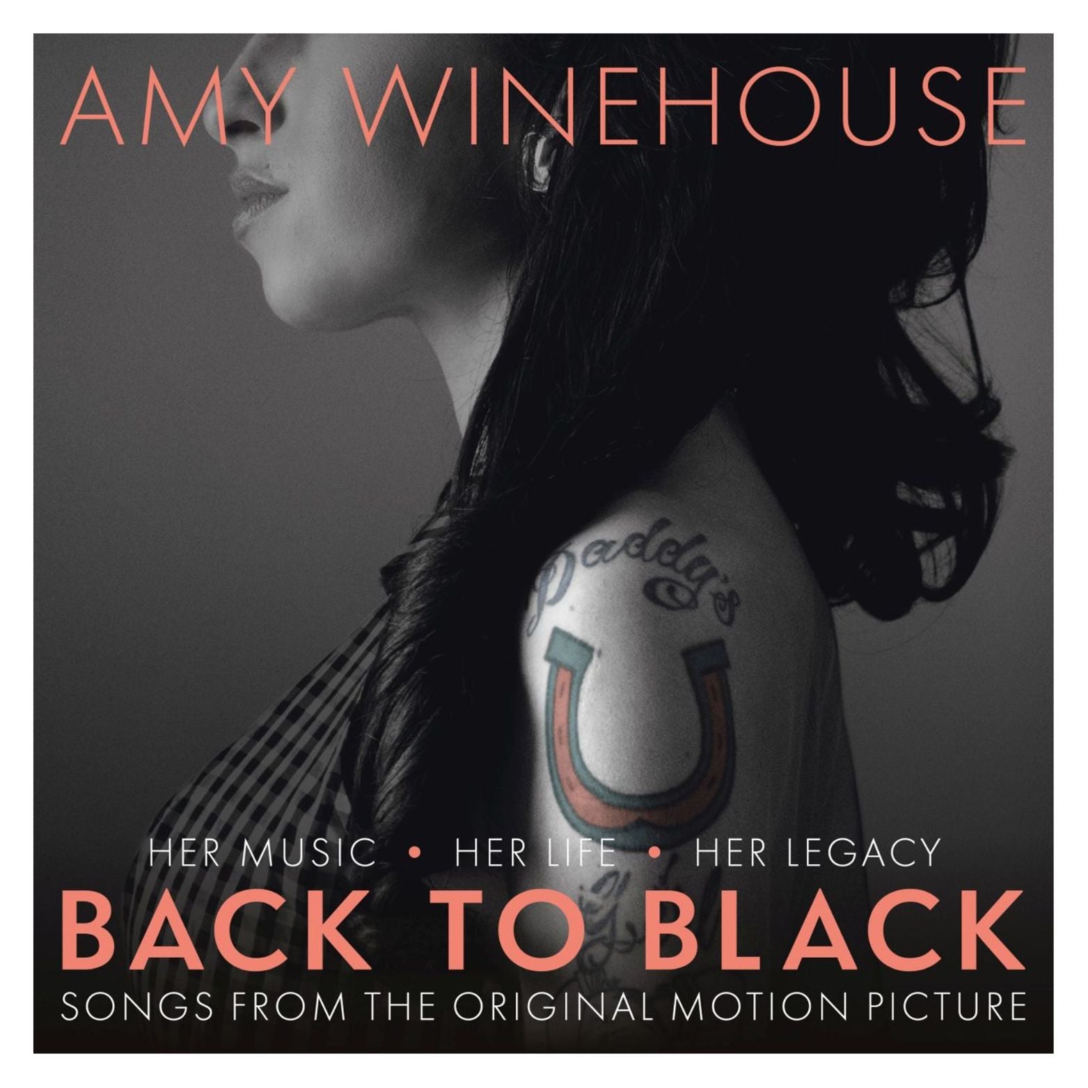 VINYL AMY WINEHOUSE & VARIOUS ARTISTS BACK TO BLACK