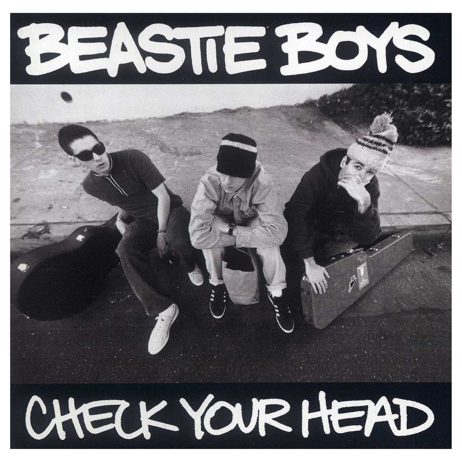 VINYL BEASTIE BOYS CHECK YOUR HEAD 2LP