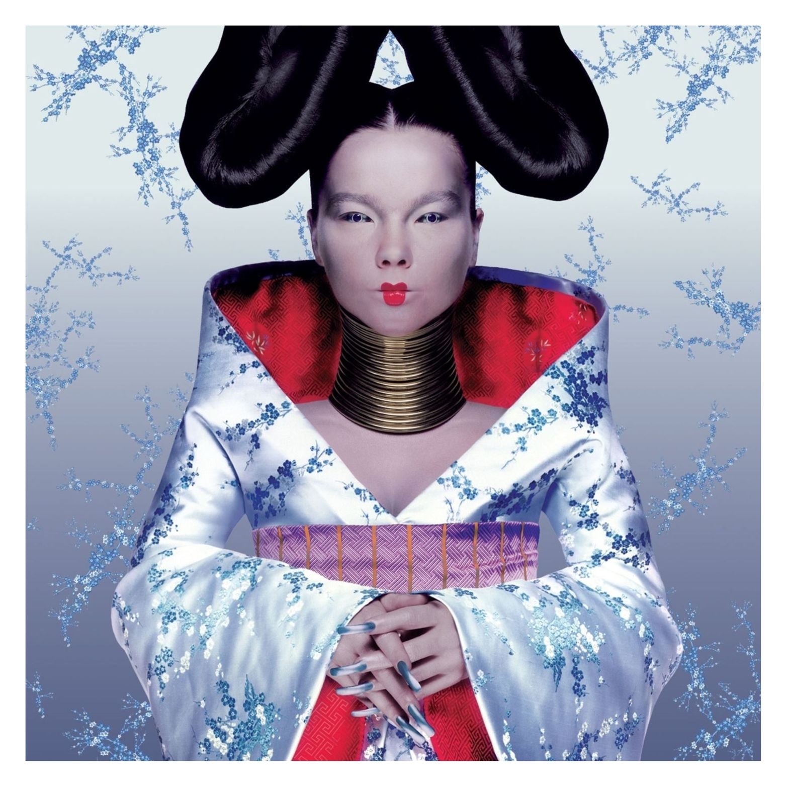 VINYL BJORK HOMOGENIC