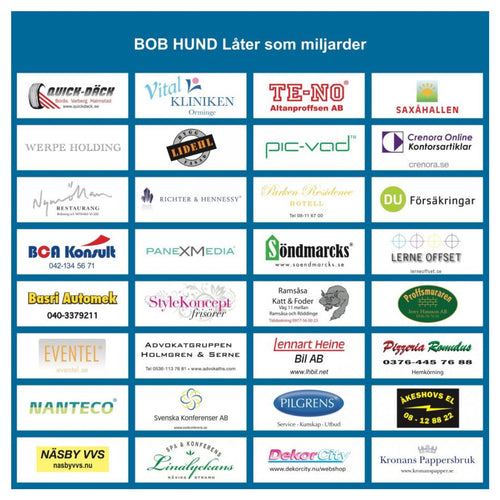 VINYL BOB HUND LÅTER SOM MILJARDER