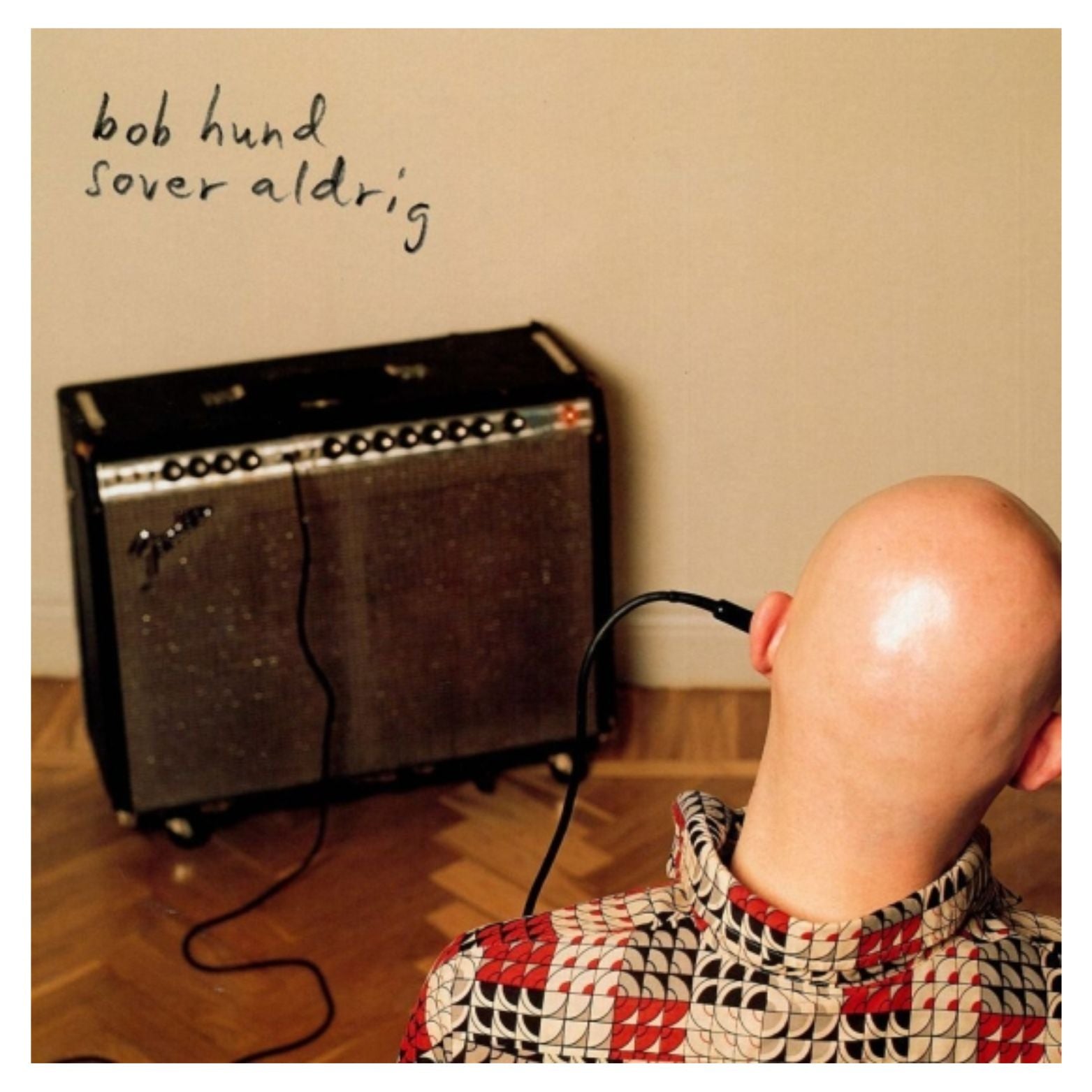 VINYL BOB HUND SOVER ALDRIG