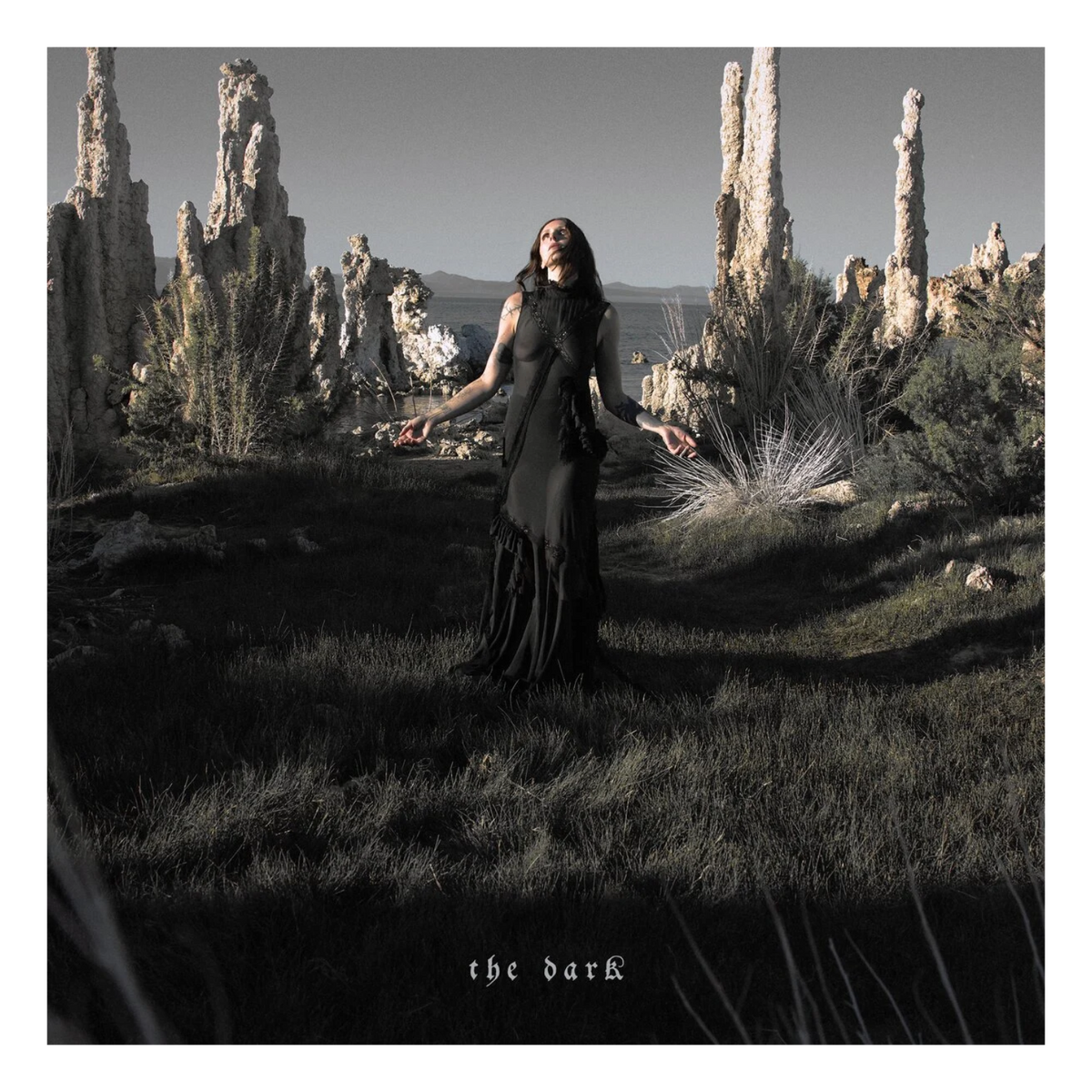 VINYL CHELSEA WOLFE THE DARK