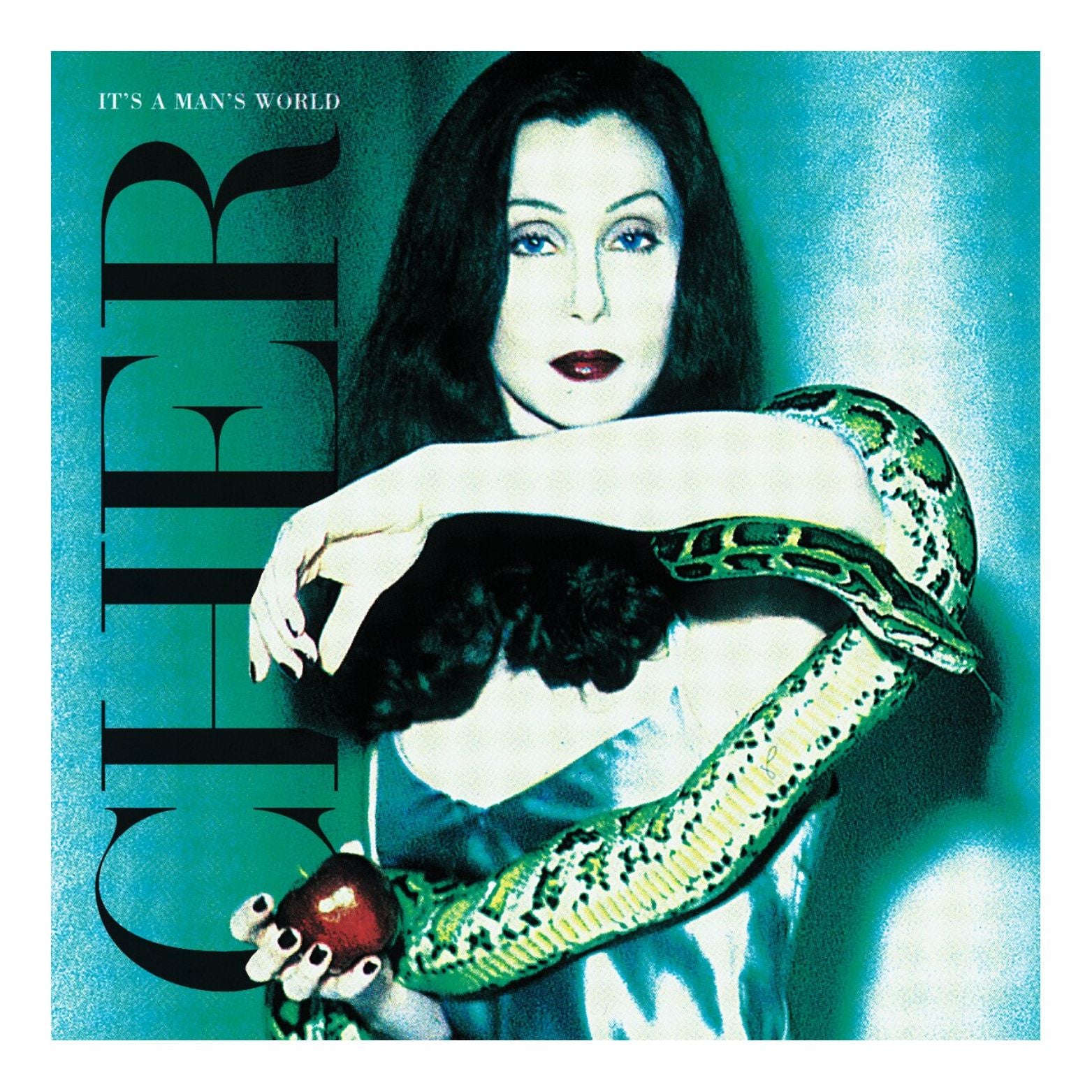 VINYL CHER IT'S A MAN'S WORLD 2LP