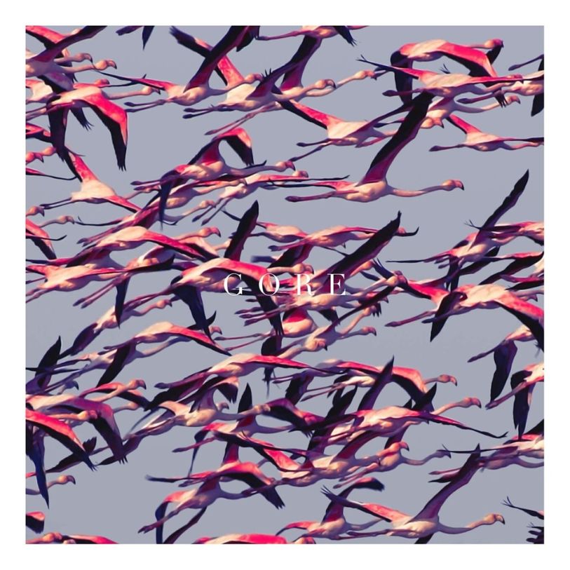 VINYL DEFTONES GORE