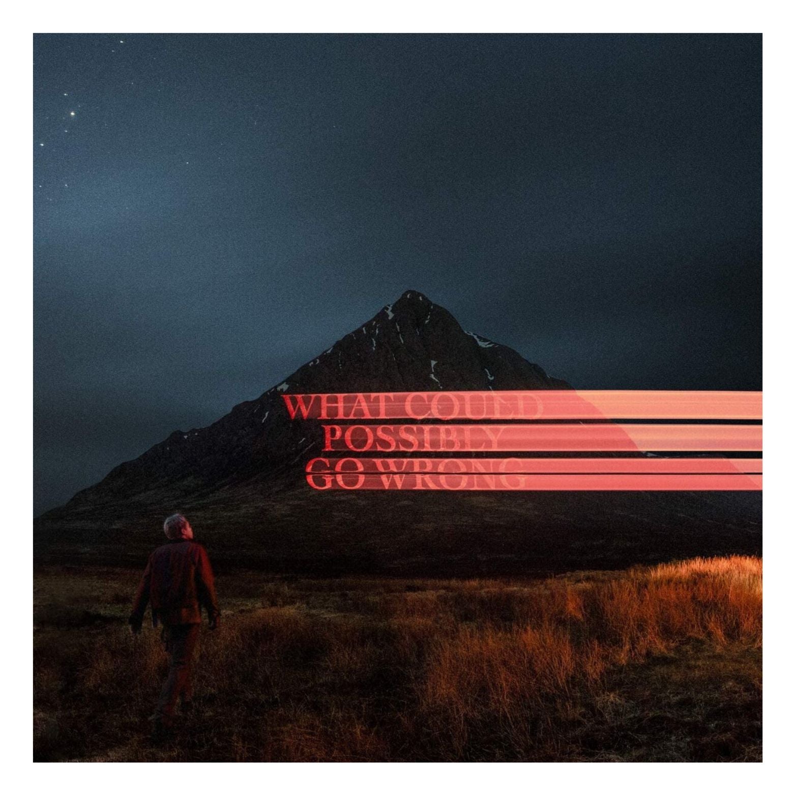 VINYL DOMINIC FIKE WHAT COULD POSSIBLY GO WRONG