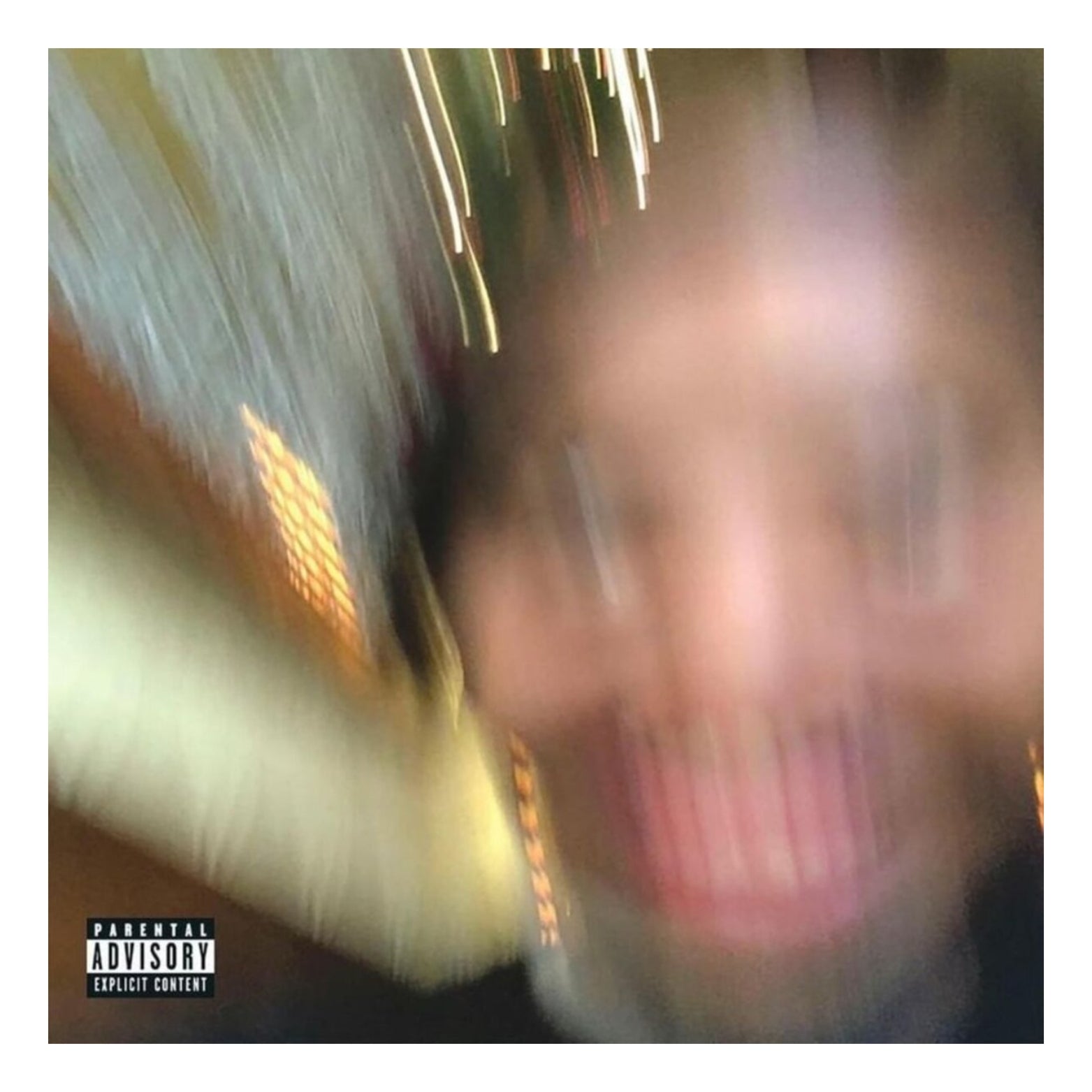 VINYL EARL SWEATSHIRT SOME RAP SONGS